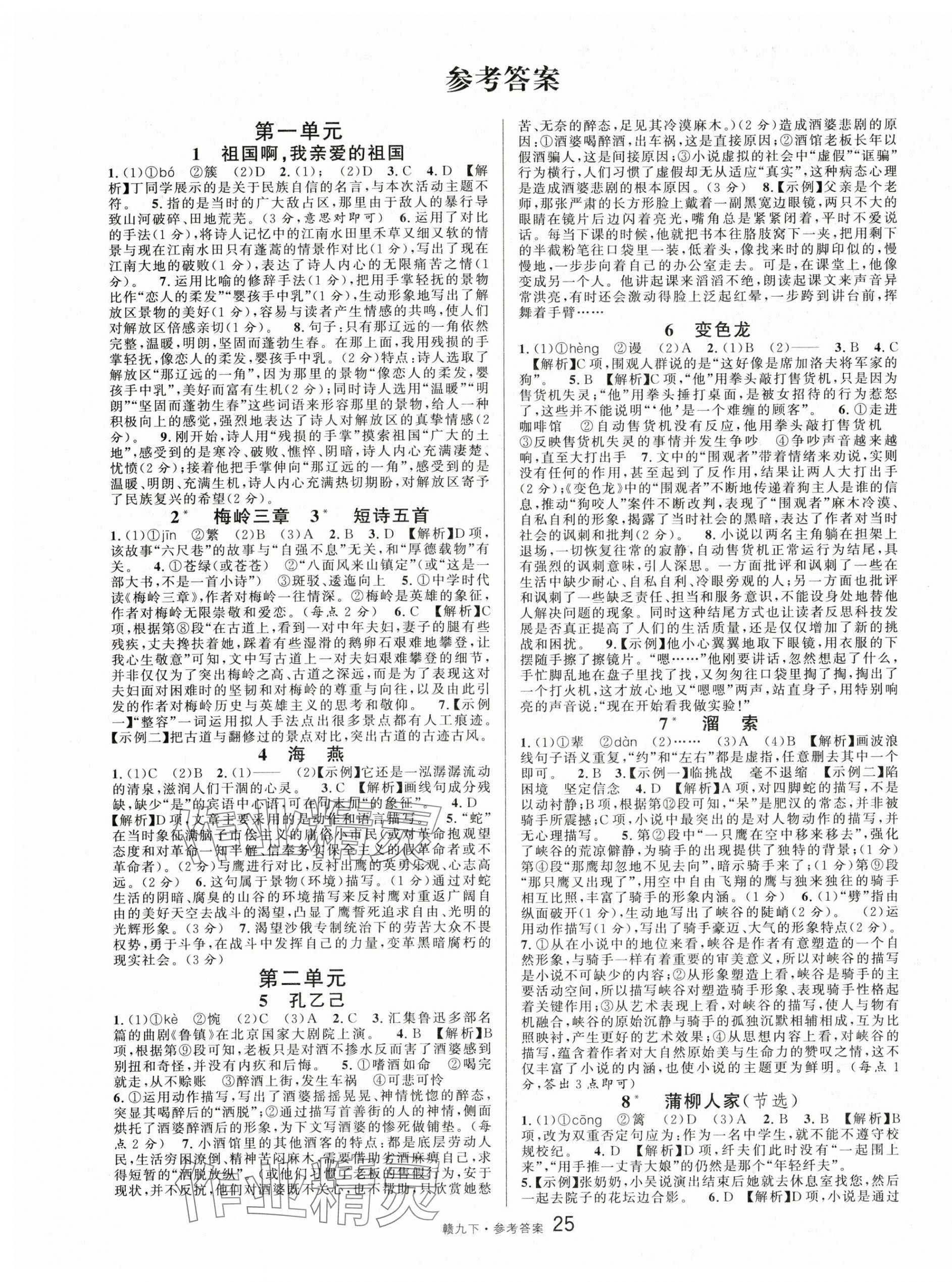 2025年名校課堂九年級語文下冊人教版江西專版 第1頁