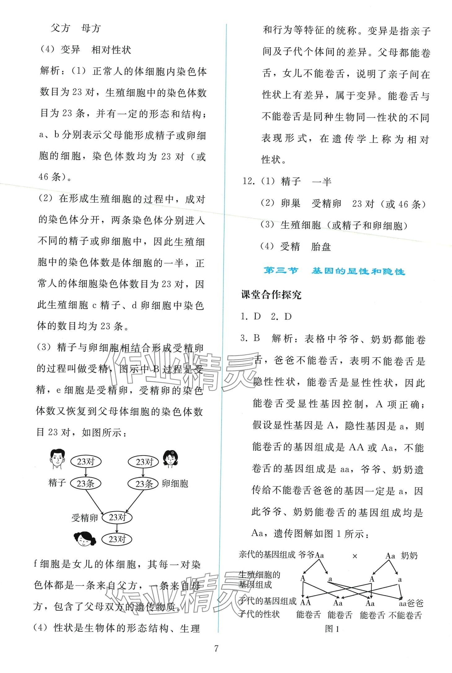 2024年同步轻松练习八年级生物下册人教版 第6页