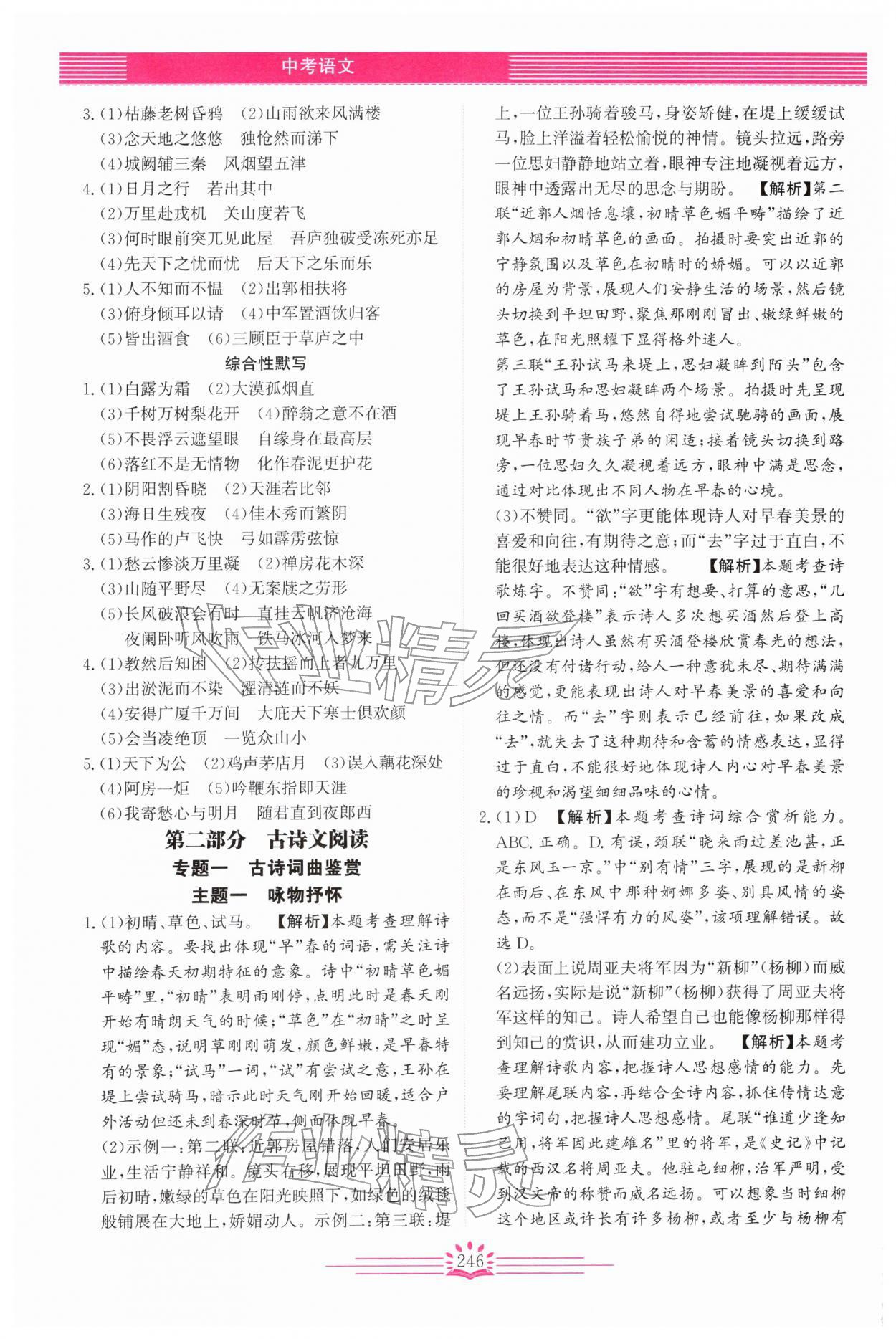 2026年思维新观察中考语文&nbsp;第4页