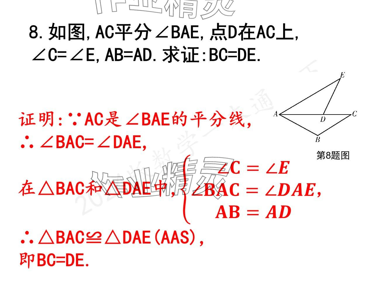 2025年一本通武漢出版社八年級數(shù)學(xué)下冊北師大版精簡版 參考答案第9頁