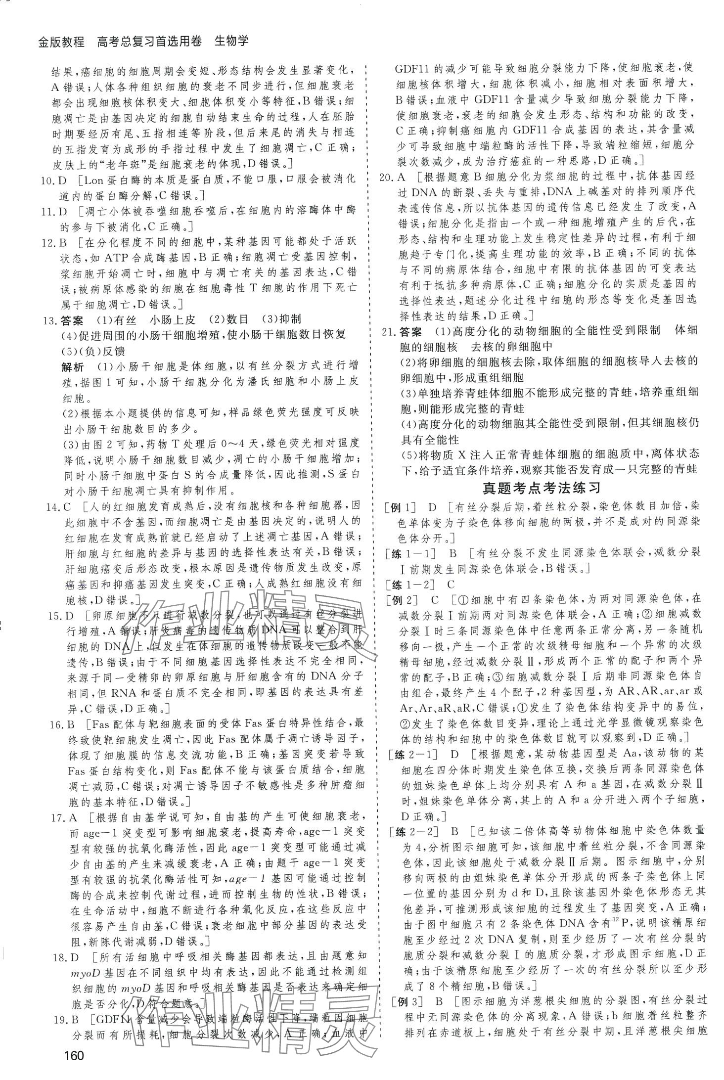 2024年高考總復(fù)習(xí)首選用卷高中生物通用版 第20頁