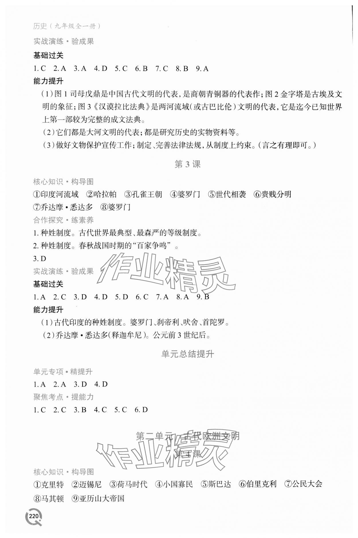 2023年新课堂学习与探究九年级历史全一册人教版 第2页