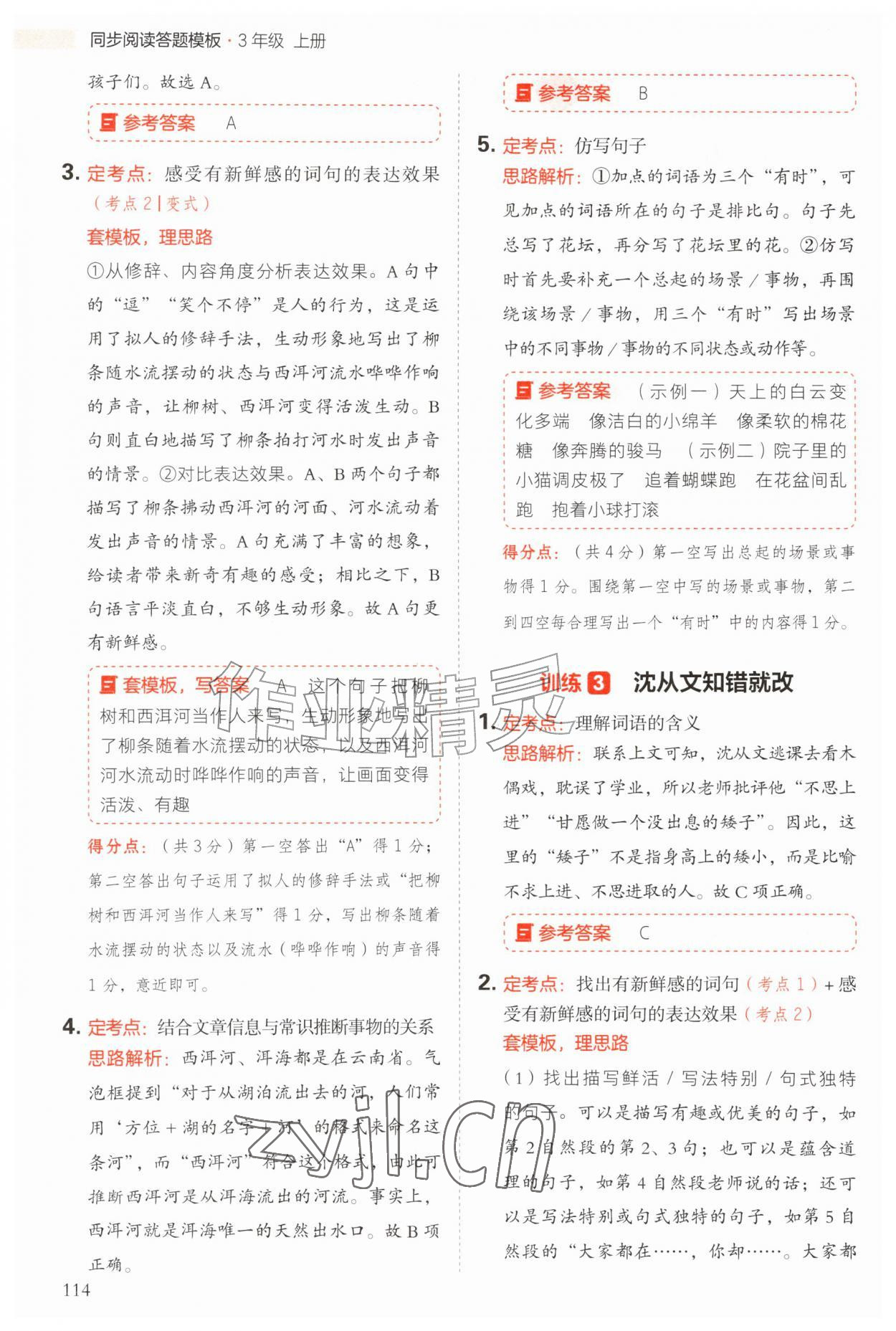 2026年同步阅读答题模板三年级语文上册人教版&nbsp;第2页