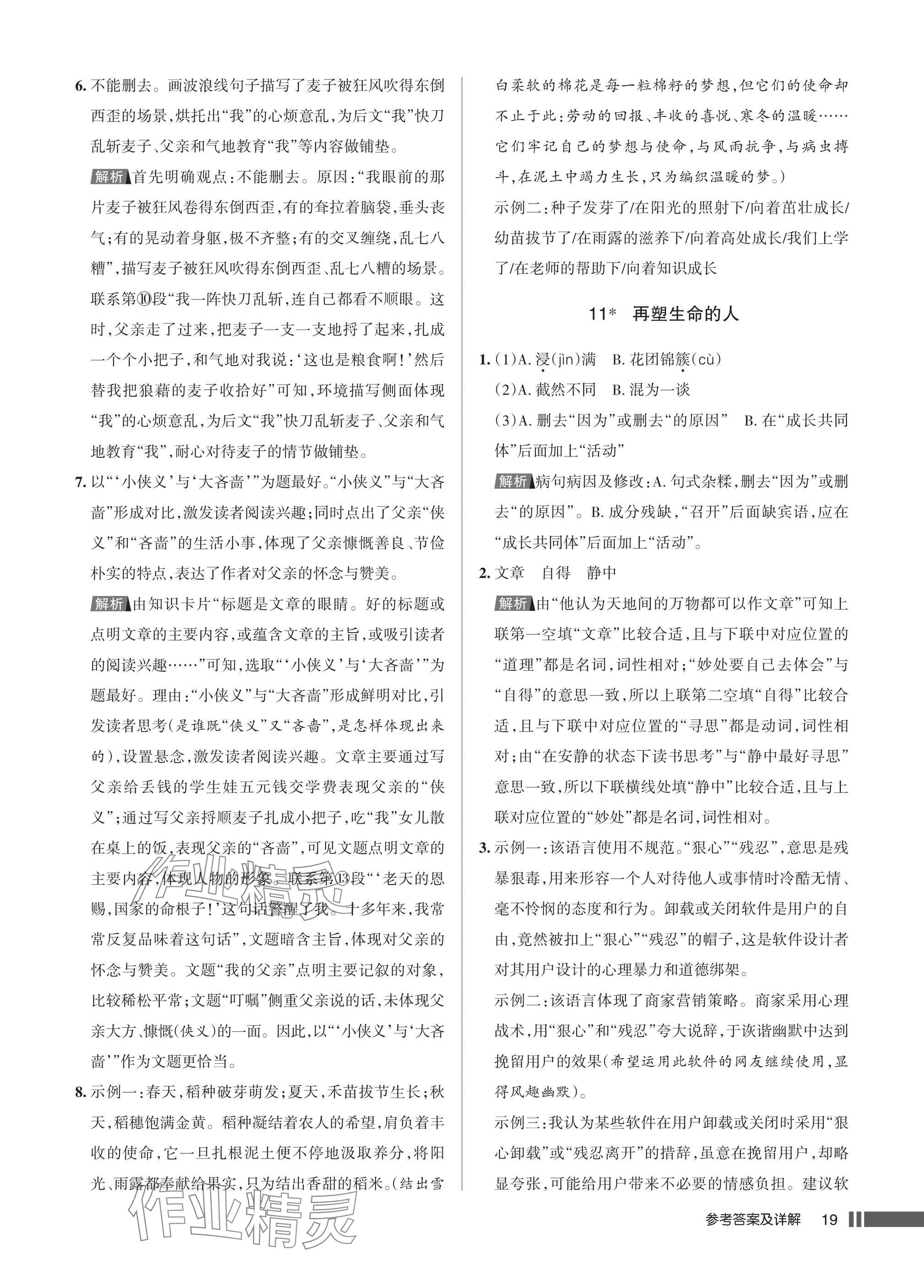 2025年名校作业七年级语文上册人教版湖北专版&nbsp;参考答案第19页