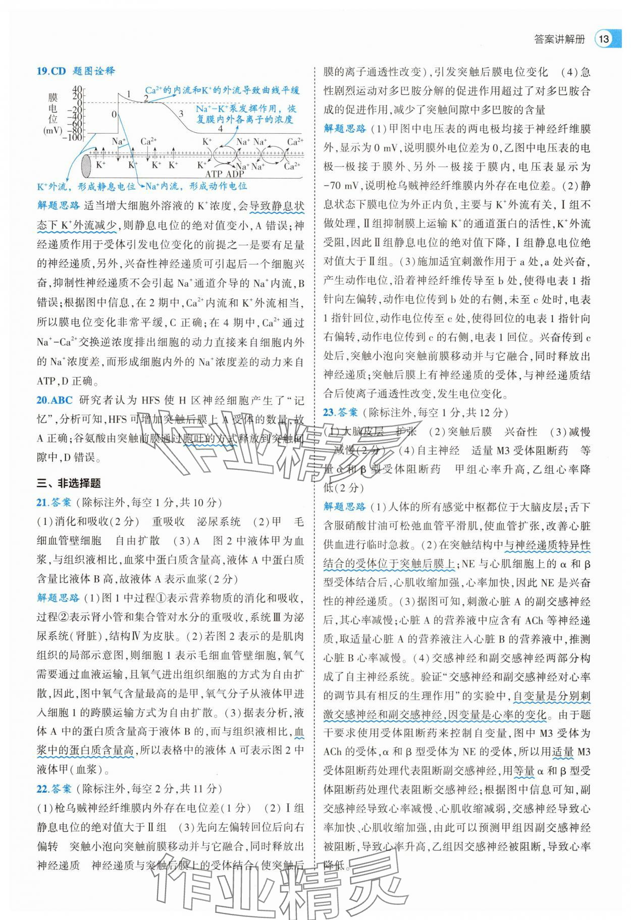 2025年53全優(yōu)卷生物選擇性必修1人教版 第13頁(yè)