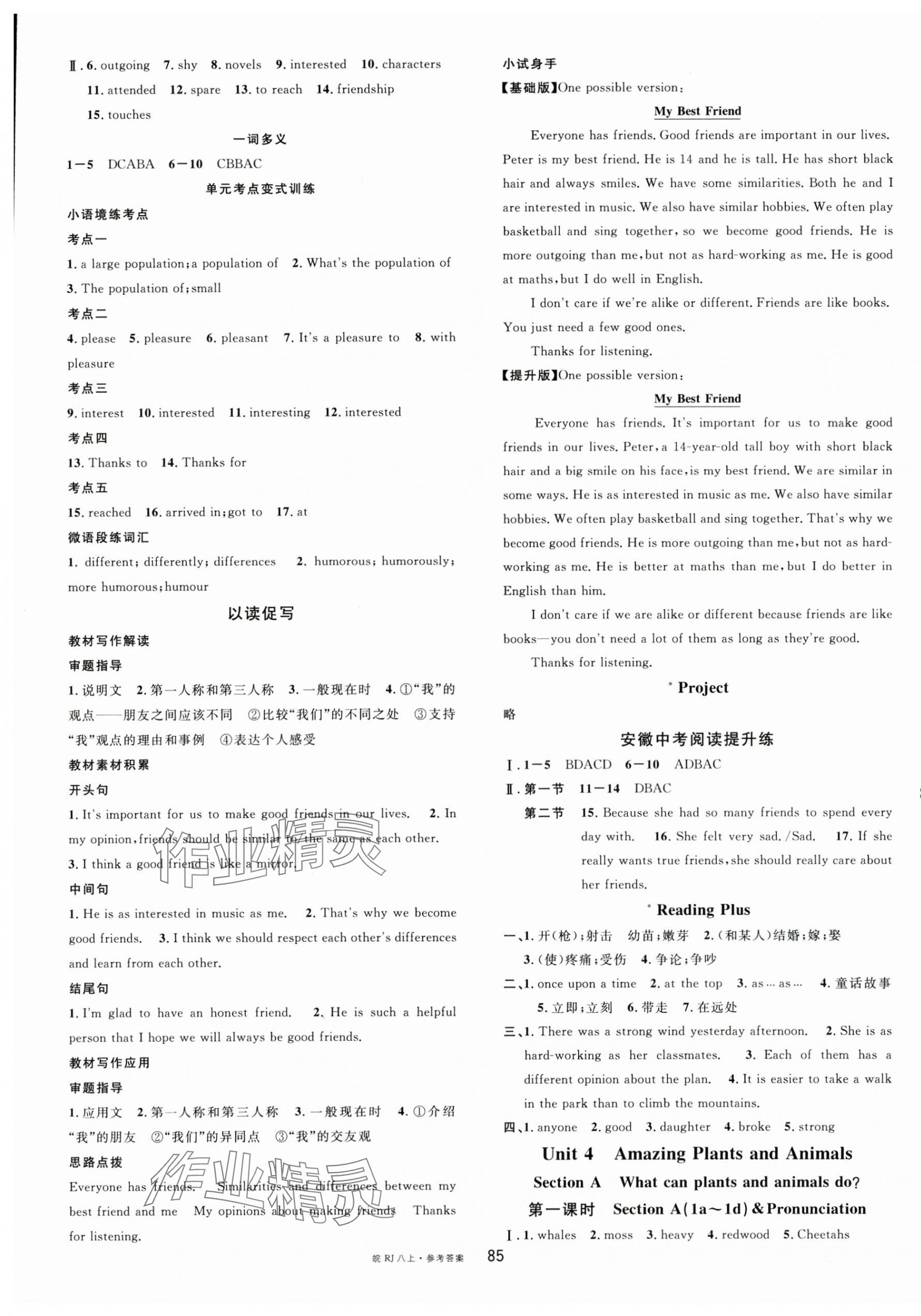 2025年名校课堂八年级英语上册人教版安徽专版 第5页