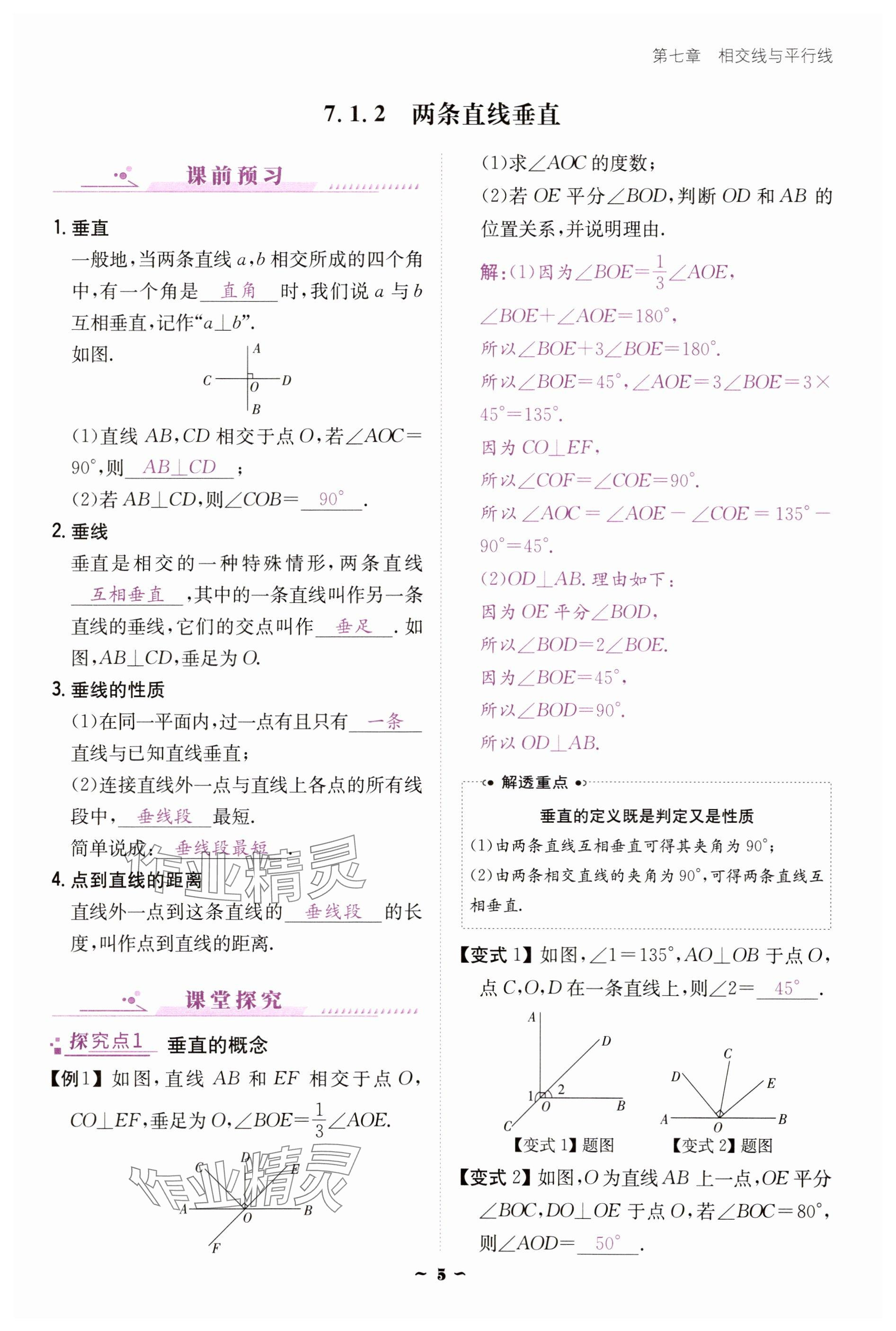 2025年云南省標準教輔優(yōu)佳學案七年級數(shù)學下冊人教版 參考答案第5頁