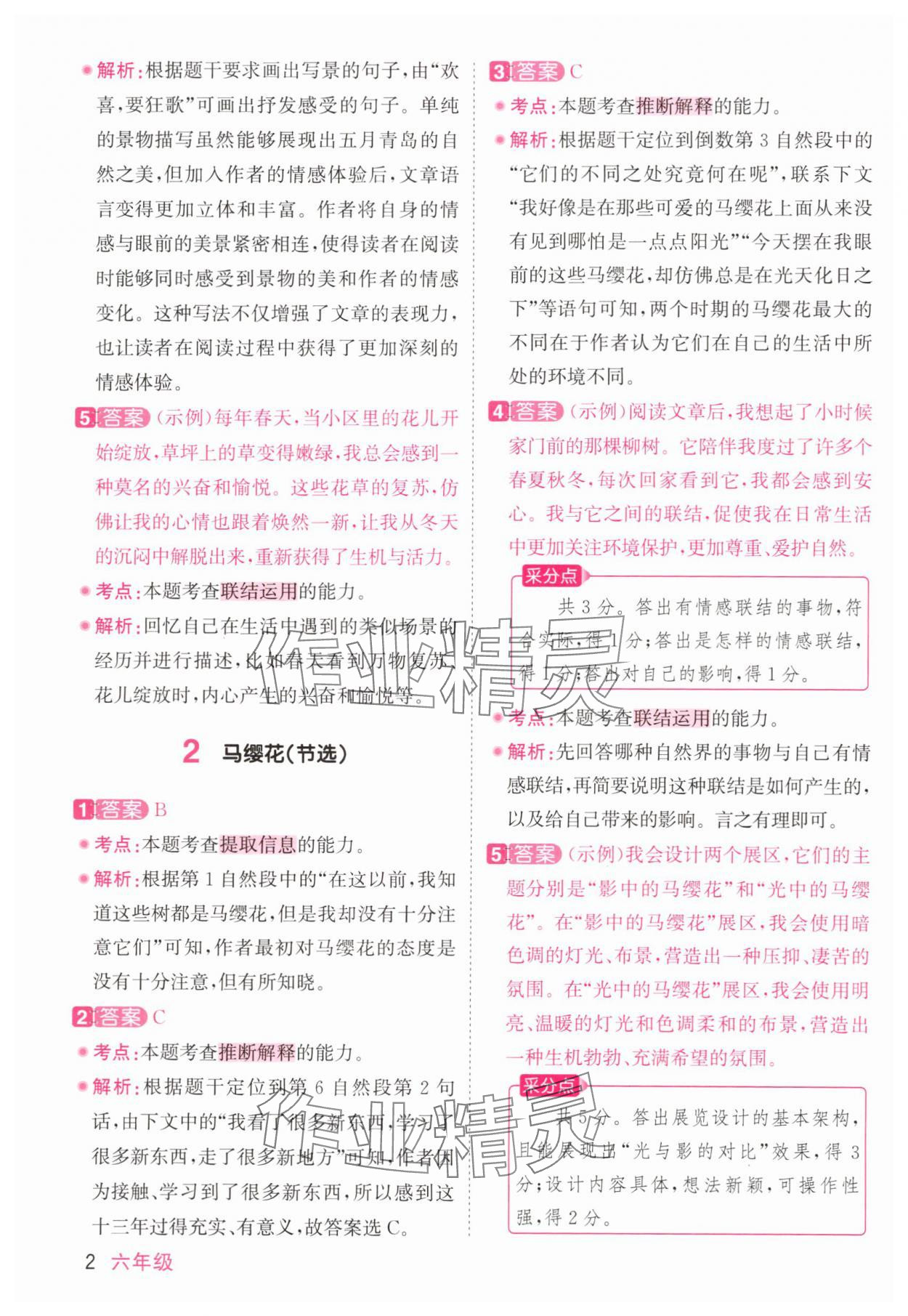 2025年陽光同學同步閱讀素養(yǎng)測試六年級語文上冊人教版 參考答案第2頁