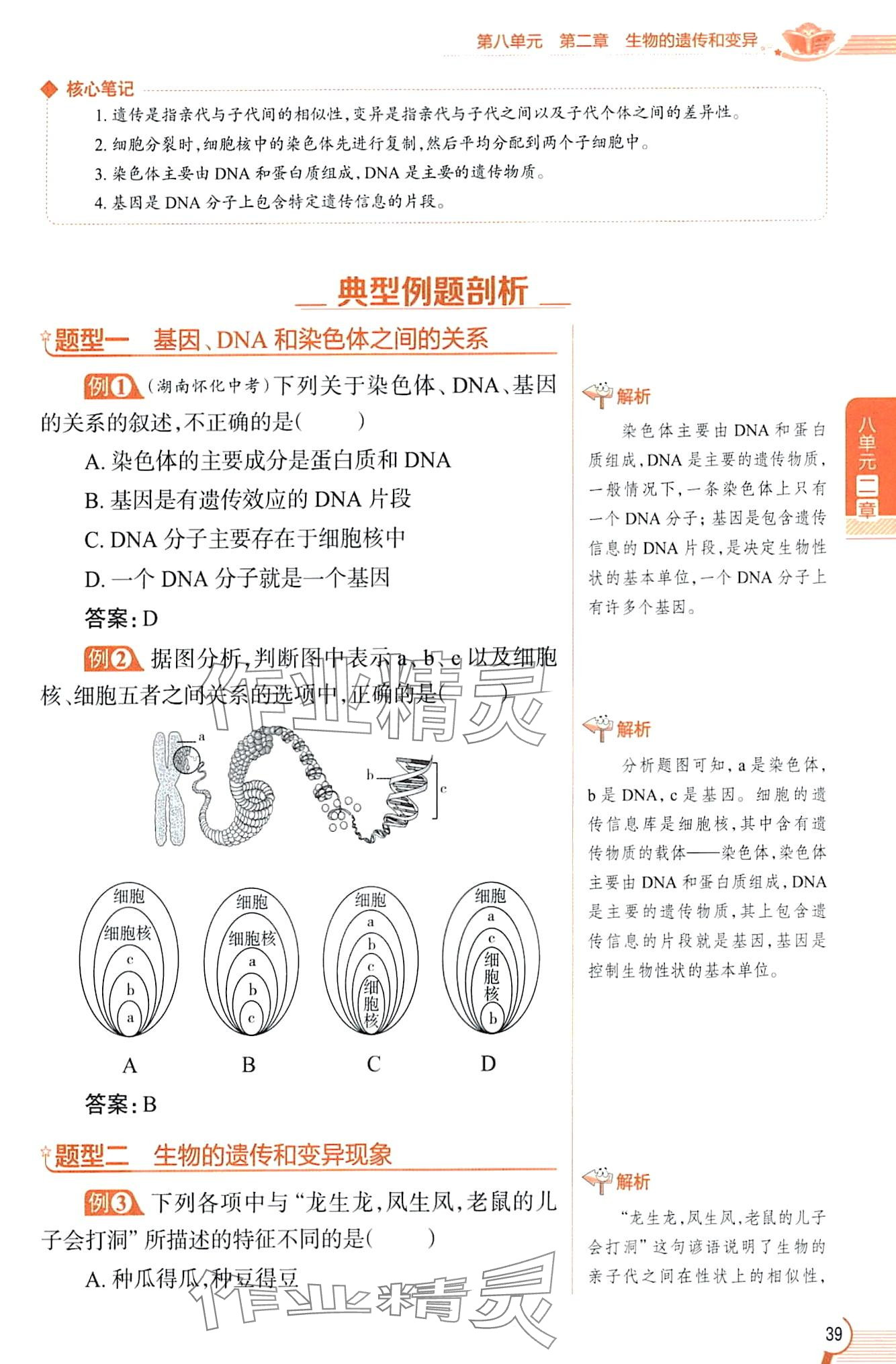 2024年教材課本八年級生物下冊魯科版五四制 第39頁