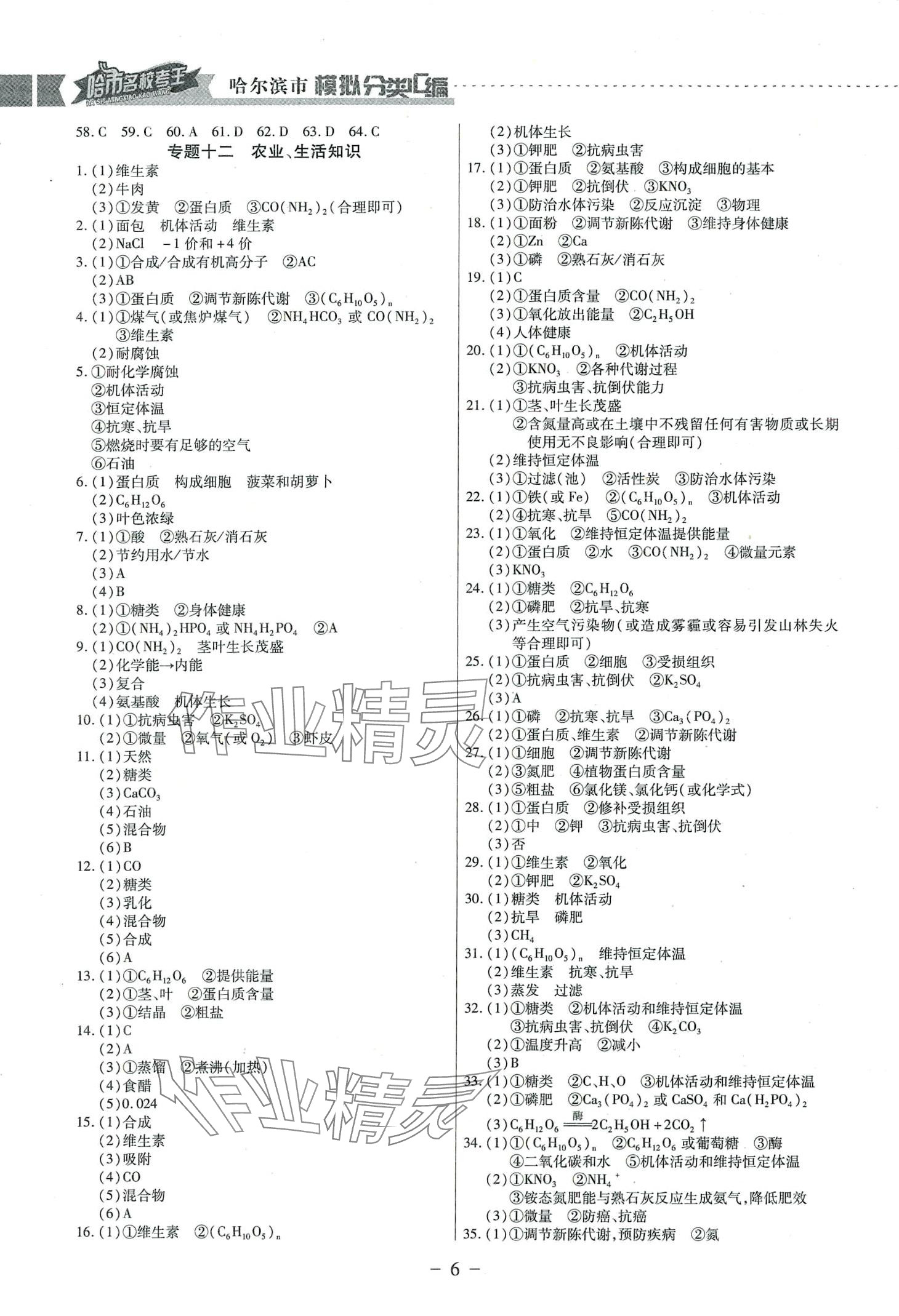 2024年哈市名?？纪醴诸悈R編化學(xué)中考哈爾濱專版 參考答案第6頁