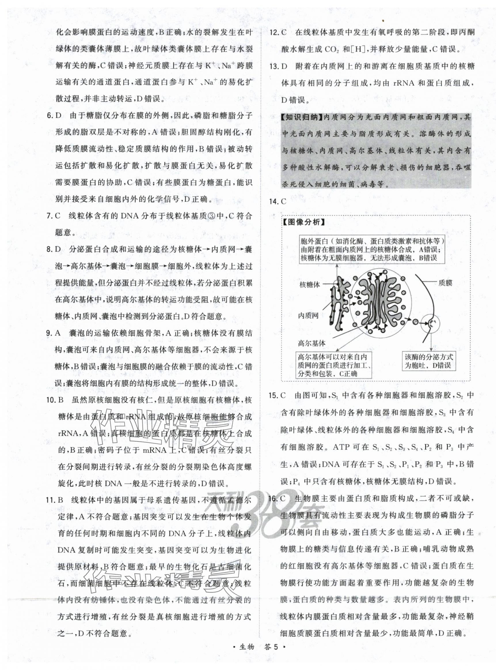 2025年五年高考真題分類高中生物 第7頁