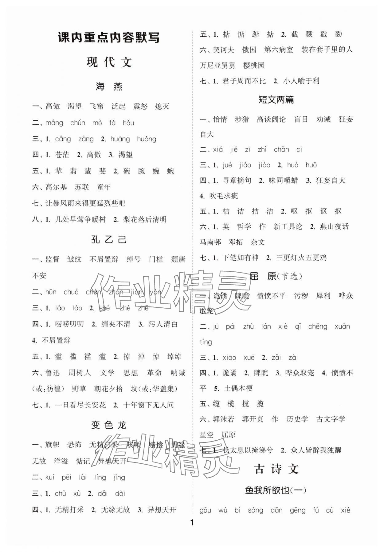 2025年通城學(xué)典初中語文默寫能手九年級(jí)下冊(cè)人教版 第1頁