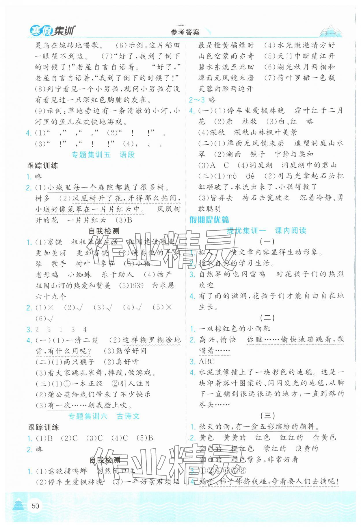 2025年寒假集训合肥工业大学出版社三年级语文人教版 第2页