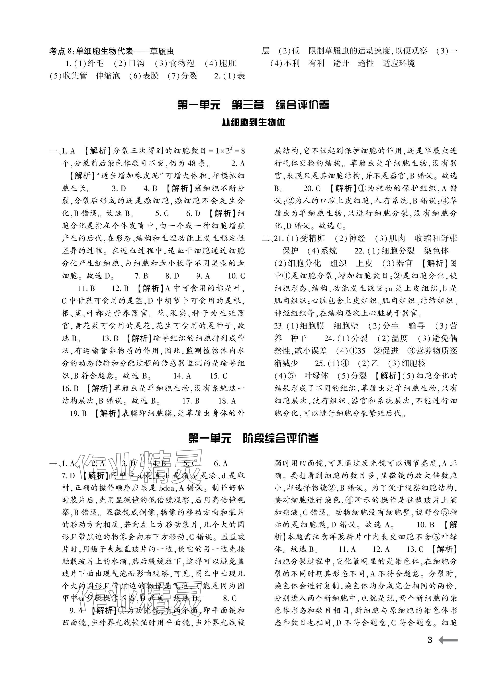 2025年節節高大象出版社七年級生物上冊人教版 參考答案第3頁