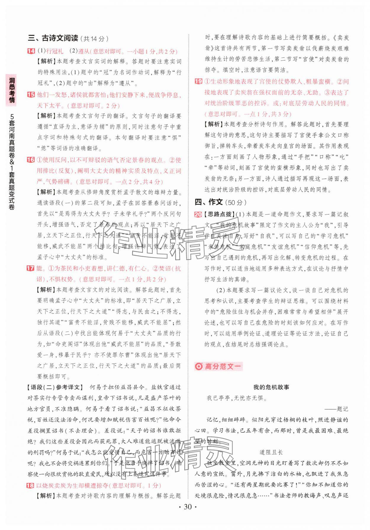 2025年鼎成中考河南中考真题汇编语文中考&nbsp;第30页