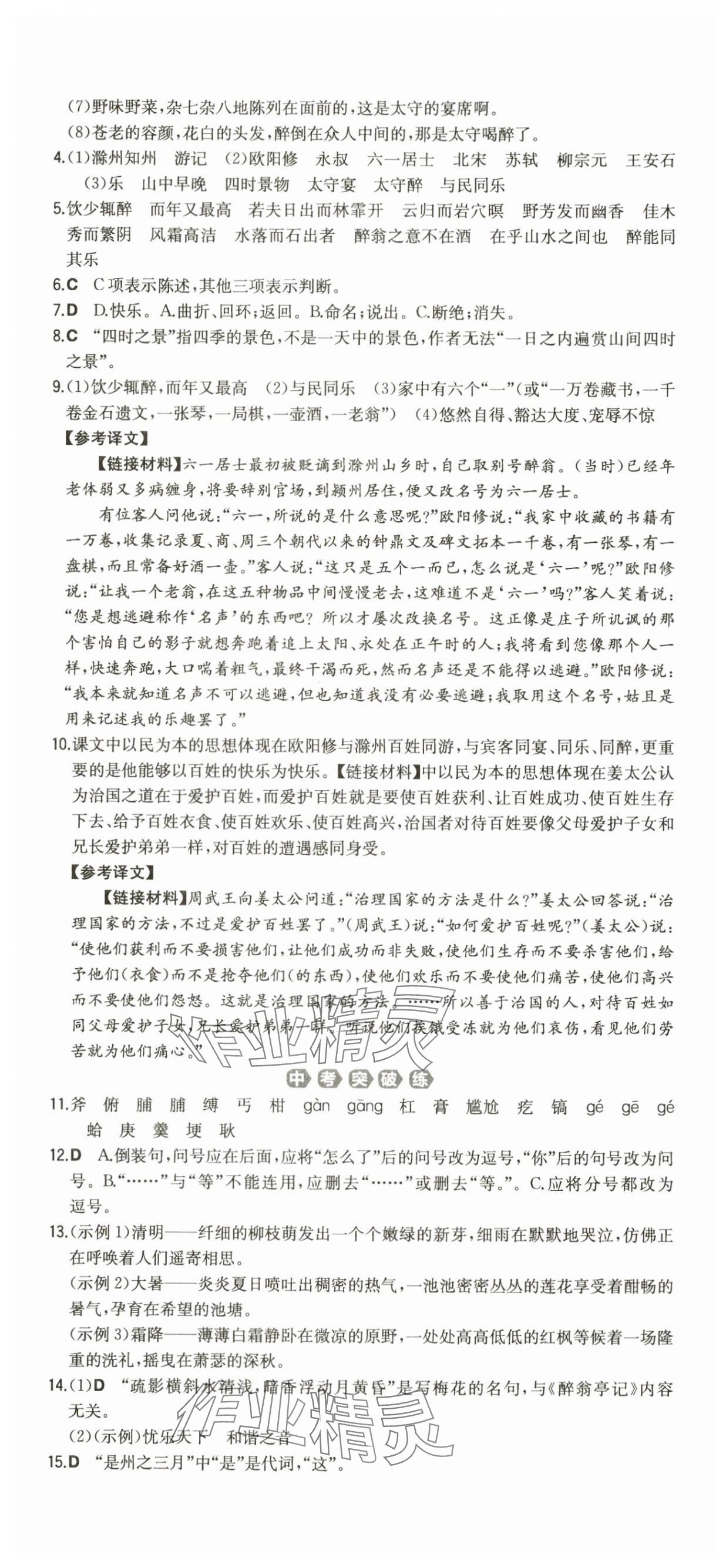 2024年一本同步訓(xùn)練九年級(jí)語(yǔ)文全一冊(cè)人教版重慶專版 第10頁(yè)