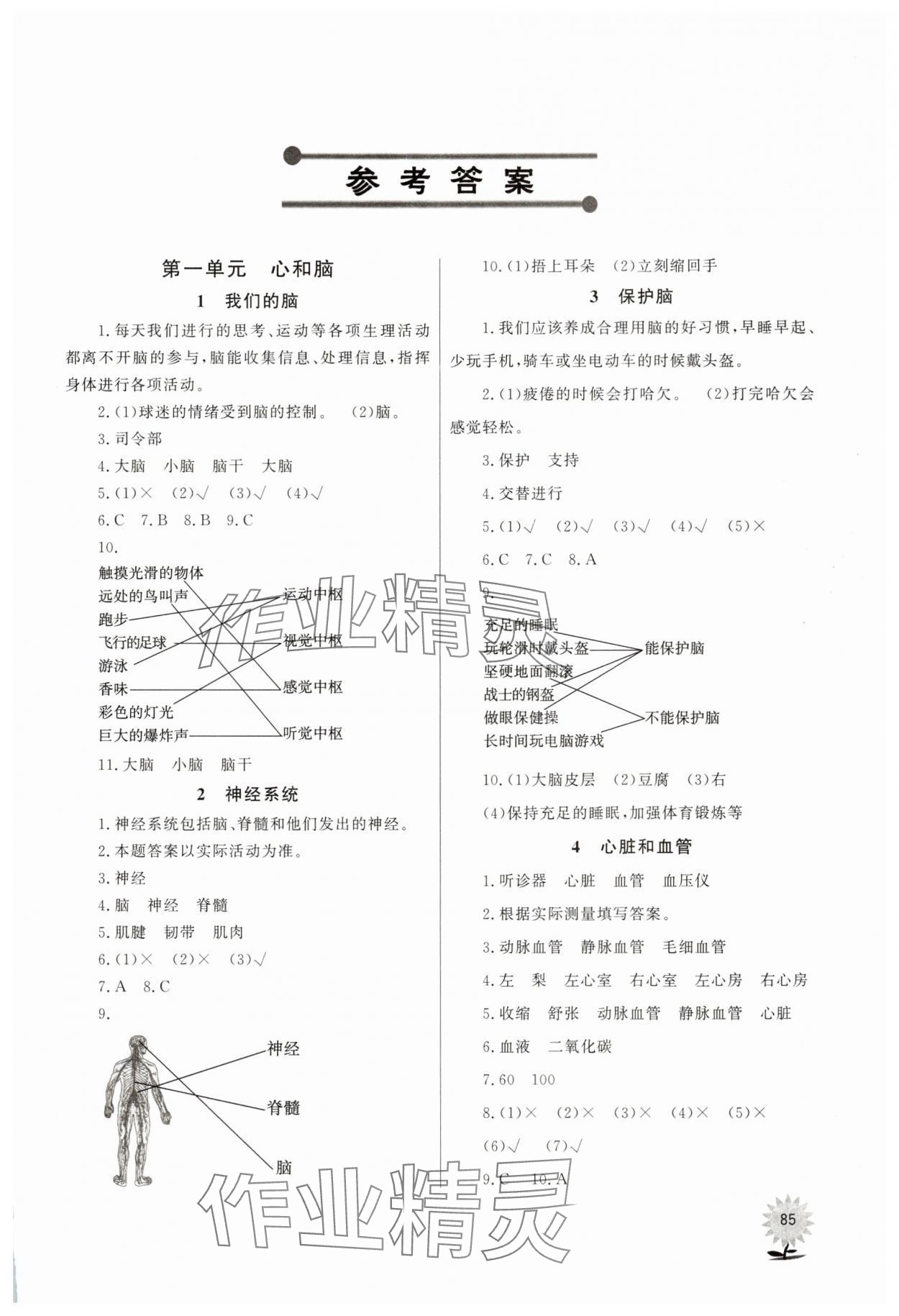 2025年同步練習山東文藝出版社五年級科學下冊青島版 第1頁