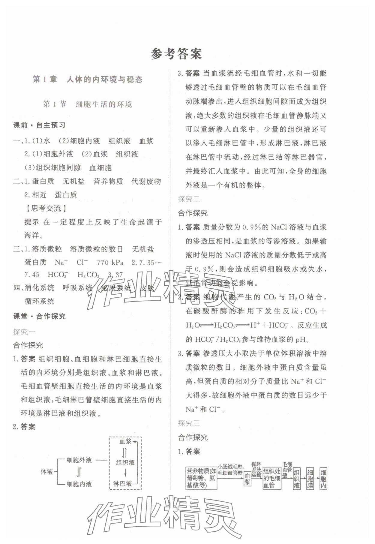 2024年同步學考練高中生物選擇性必修1人教版 第1頁