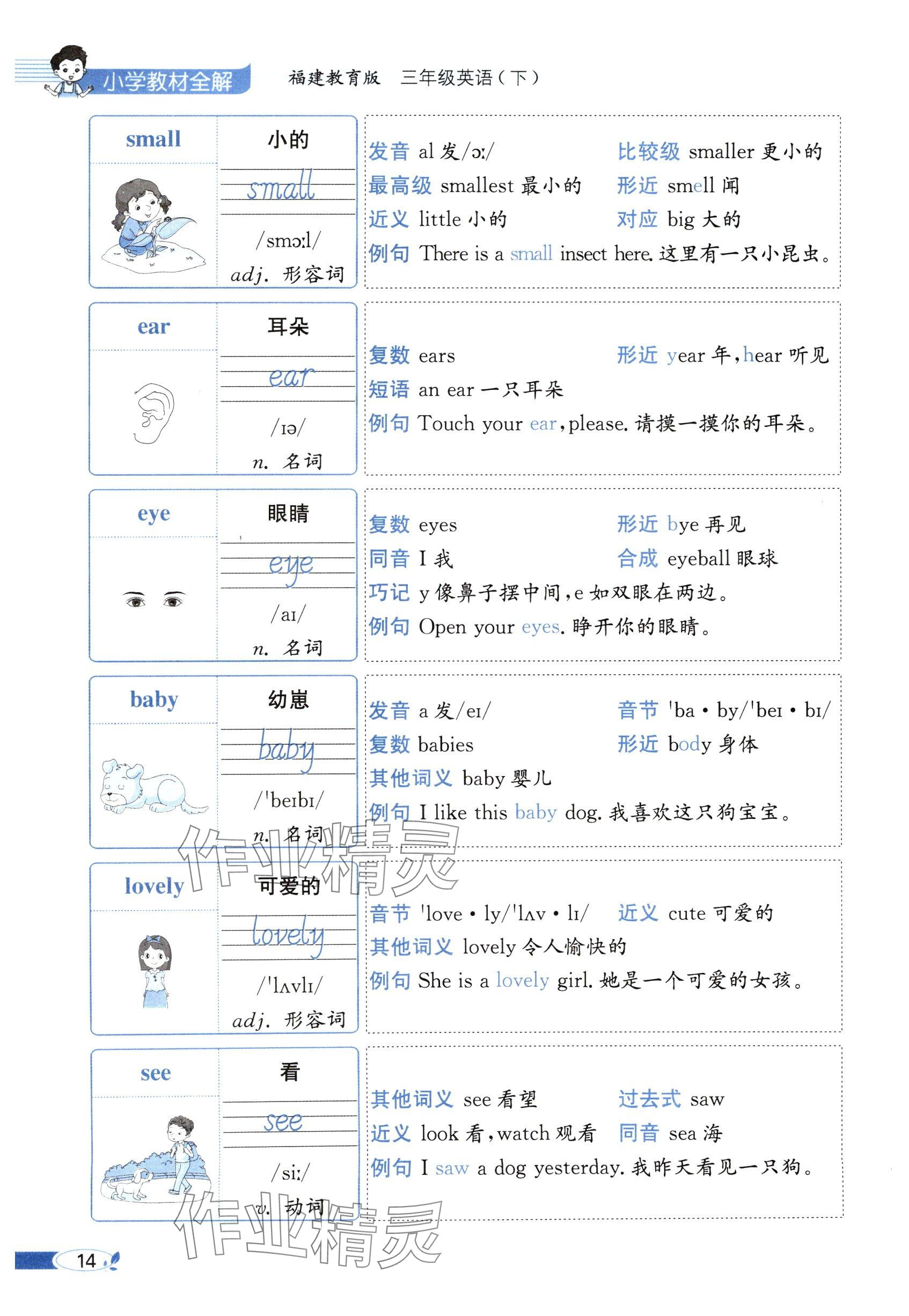 2025年教材課本三年級英語下冊閩教版 參考答案第14頁