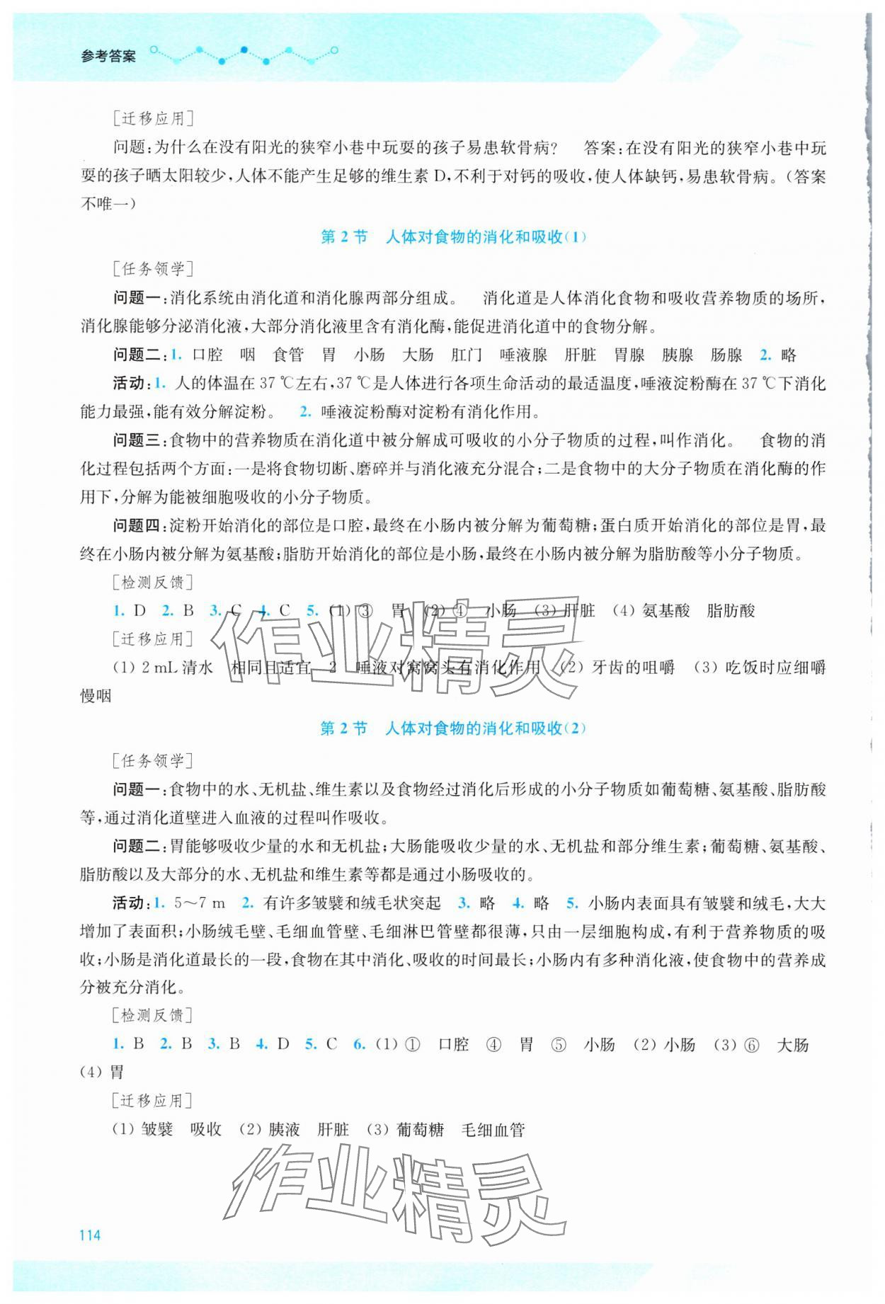 2025年伴你学江苏八年级生物上册苏科版 第2页