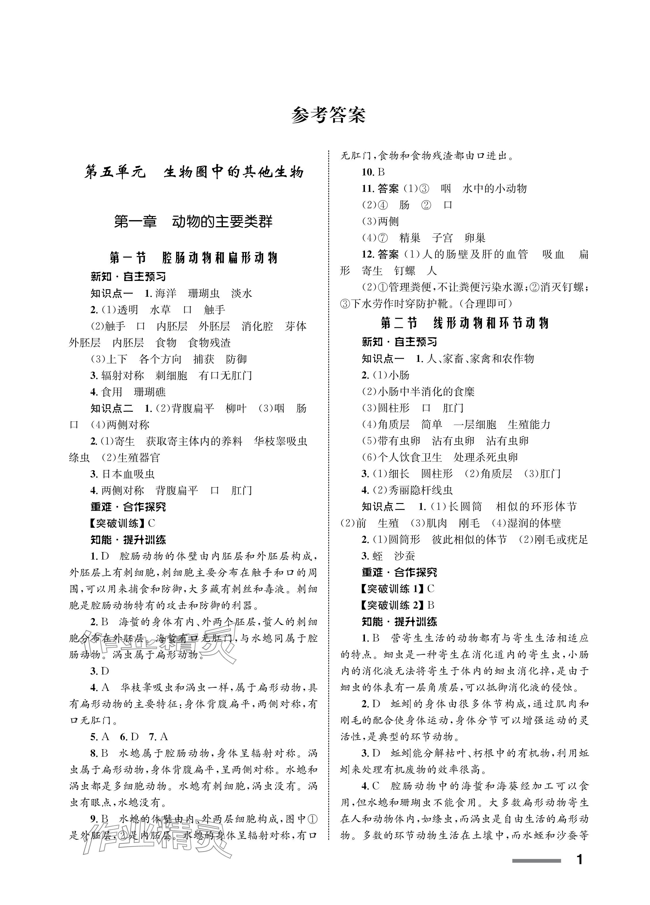 2023年配套綜合練習(xí)甘肅八年級生物上冊人教版 參考答案第1頁