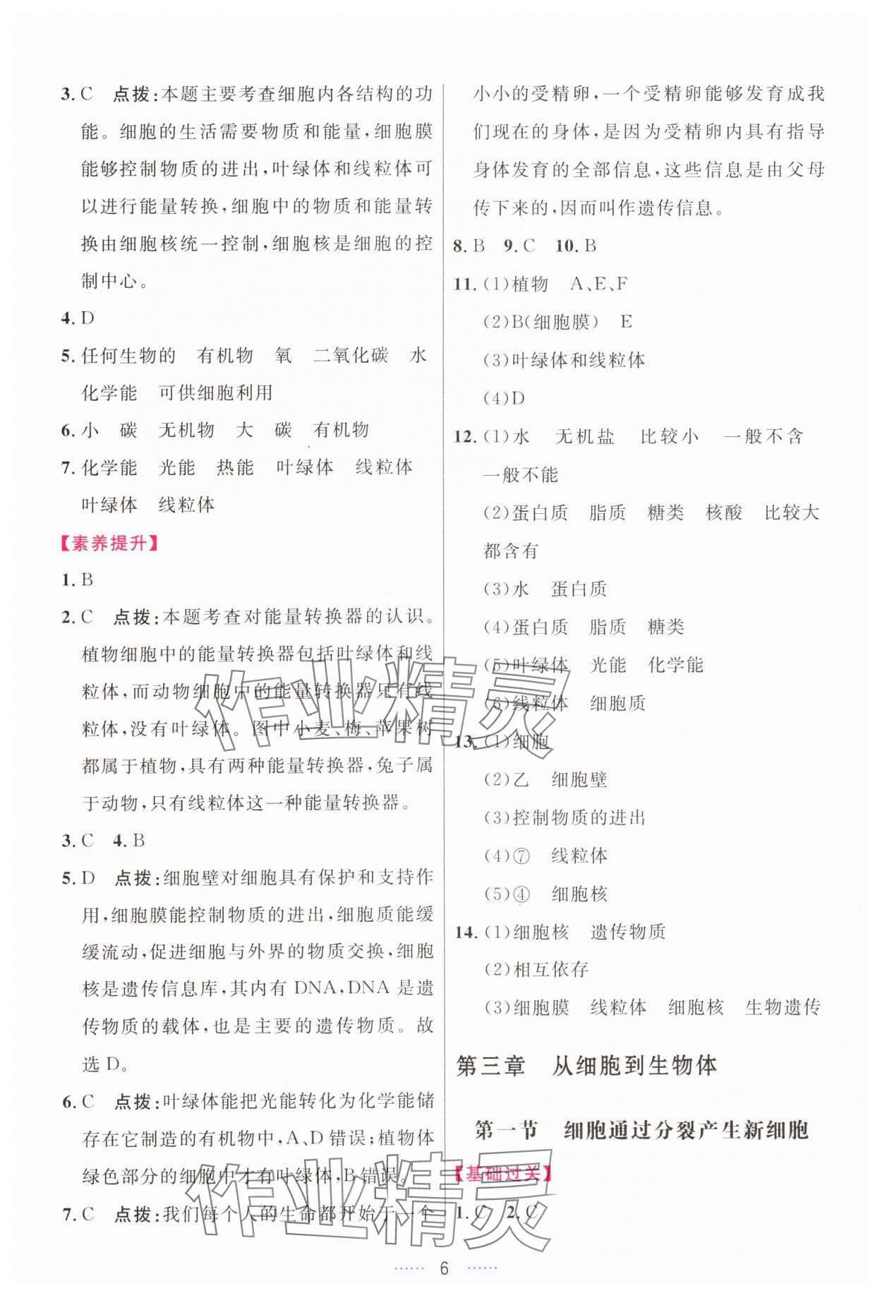 2025年三維數字課堂七年級生物上冊人教版 第6頁