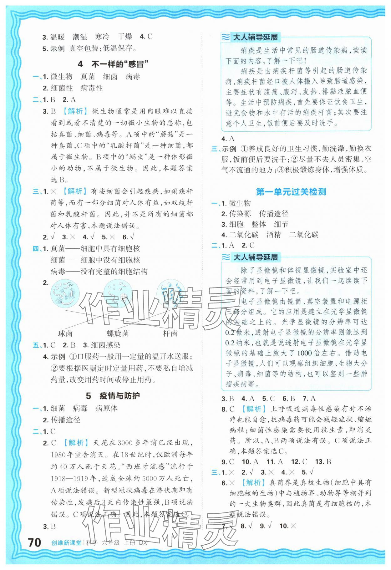 2025年创维新课堂六年级科学上册大象版 第2页