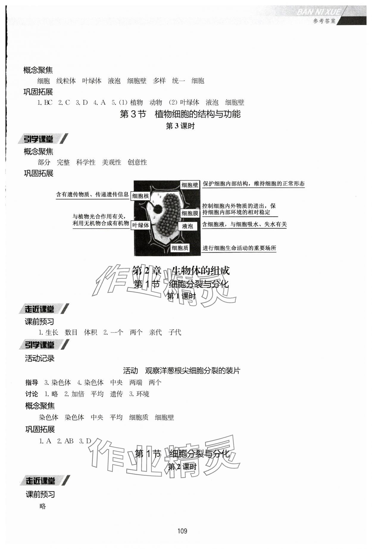 2024年伴你学七年级生物上册苏教版 参考答案第4页