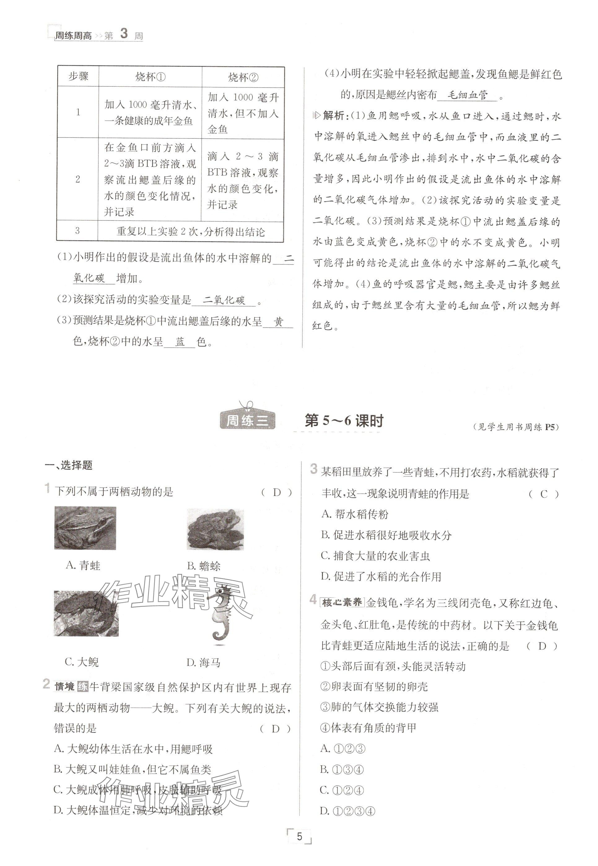 2024年日清周練八年級生物上冊人教版 參考答案第5頁