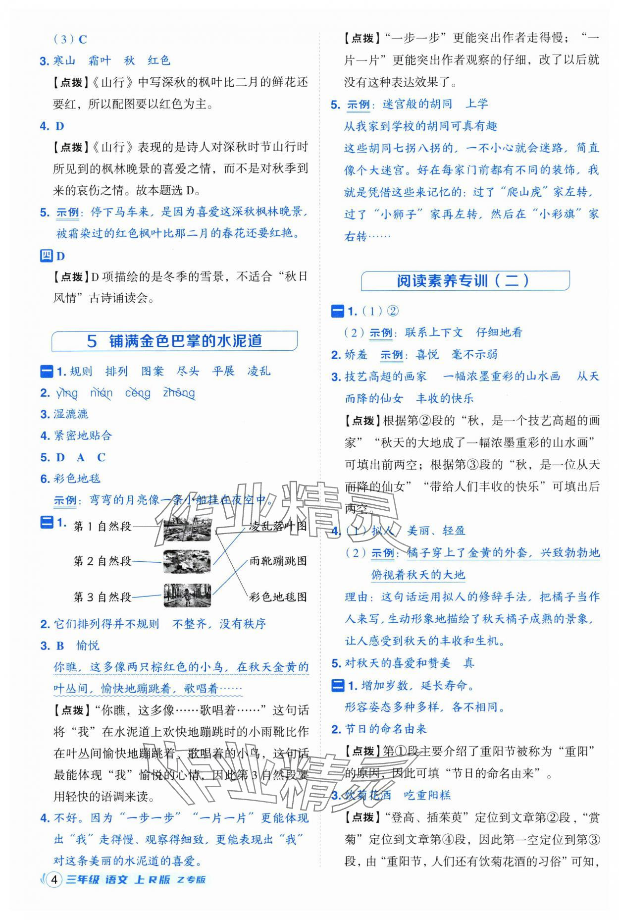 2025年综合应用创新题典中点三年级语文上册人教版浙江专版 第4页