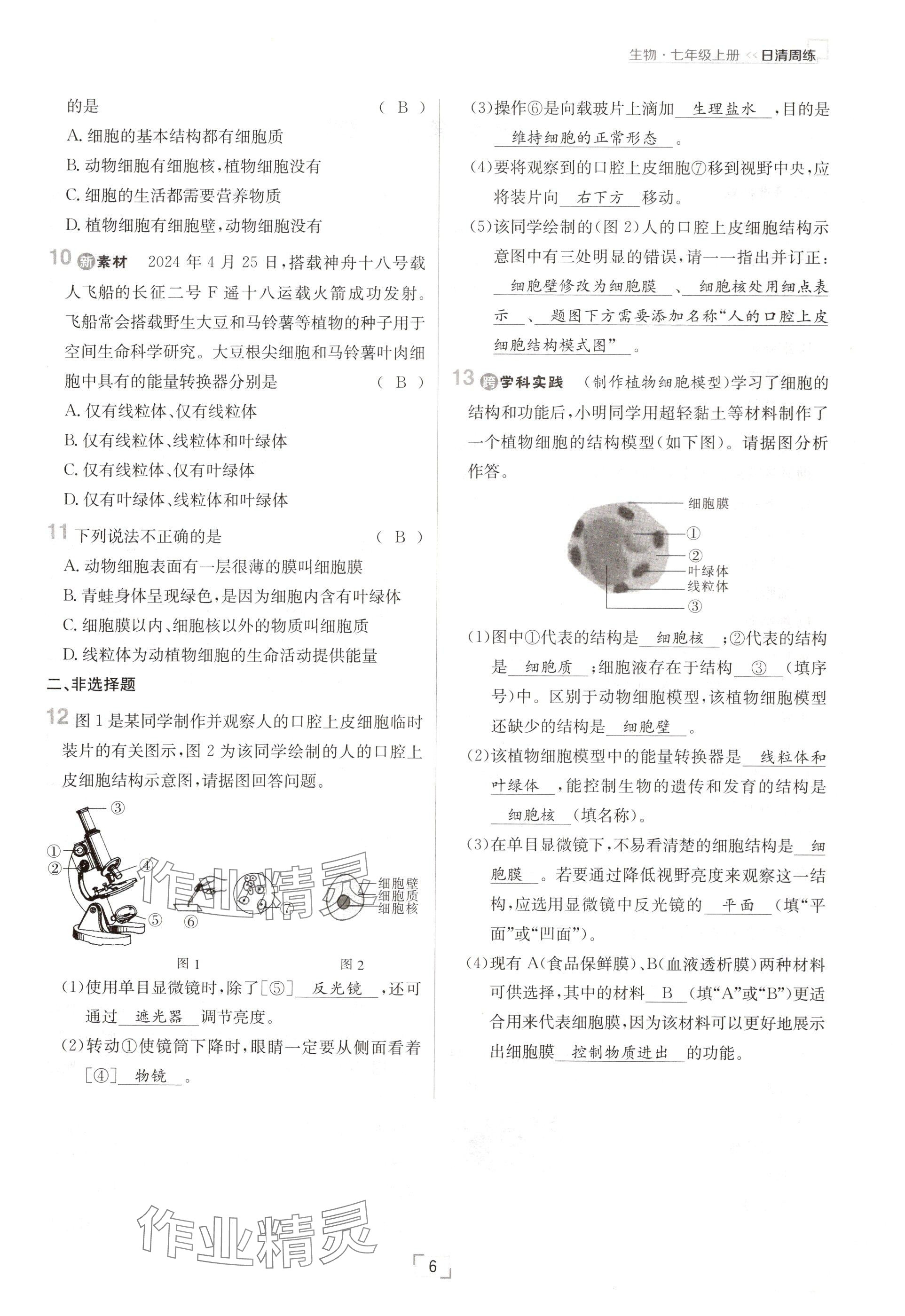 2024年日清周練七年級生物上冊人教版 參考答案第6頁