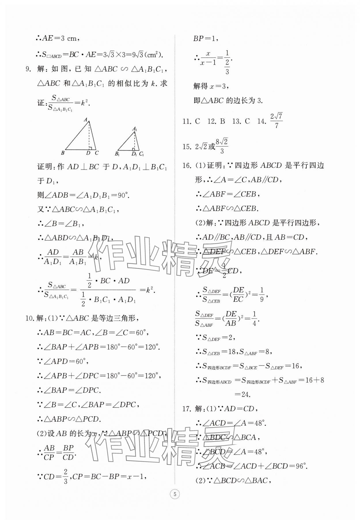 2025年同步练习册智慧拓展九年级数学上册青岛版菏泽专版&nbsp;第5页