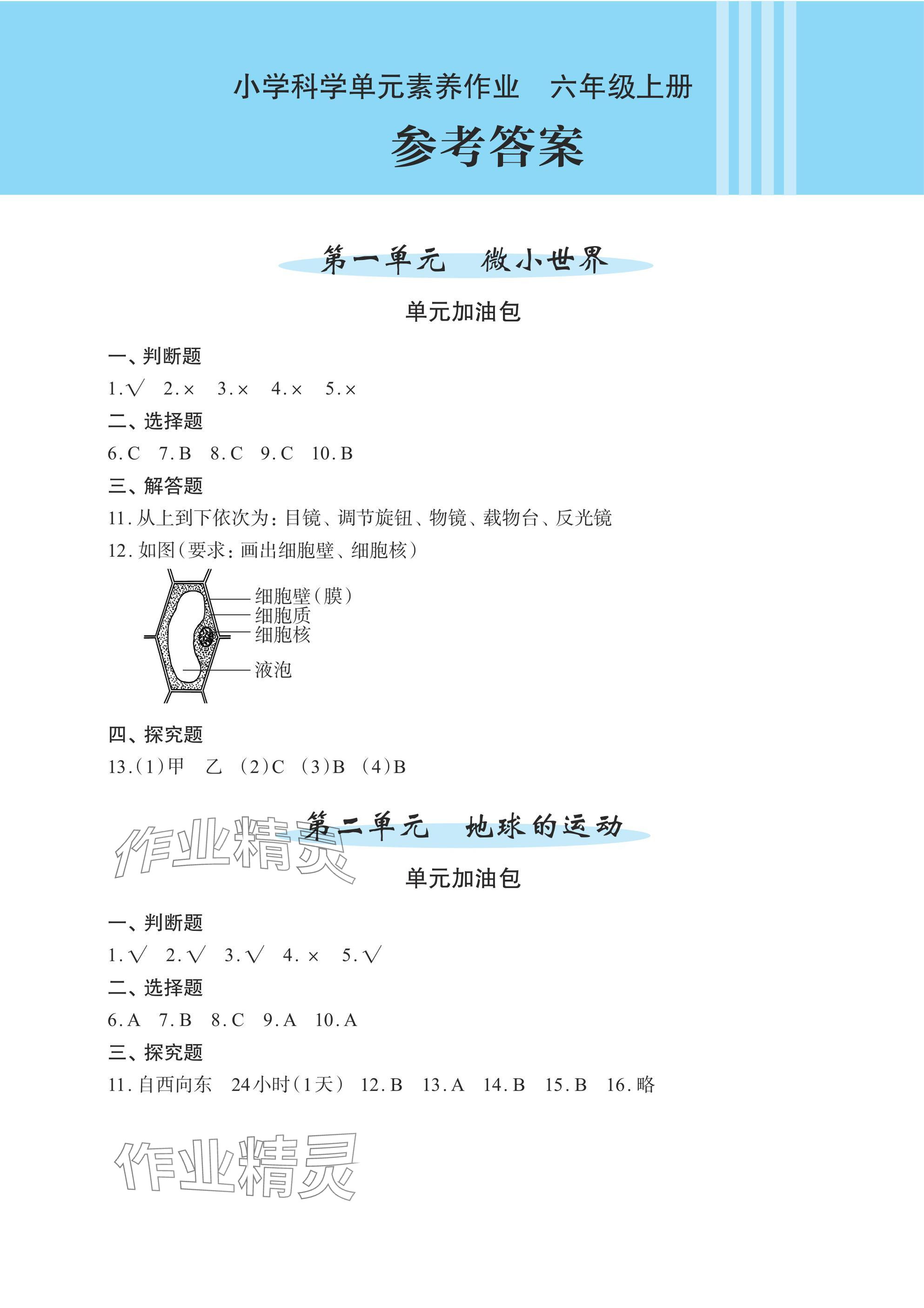 2024年小學(xué)單元素養(yǎng)作業(yè)六年級(jí)科學(xué)上冊(cè)教科版 參考答案第1頁(yè)