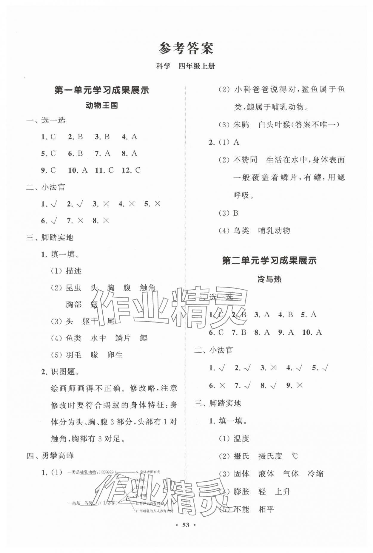 2024年同步練習(xí)冊(cè)分層指導(dǎo)四年級(jí)科學(xué)上冊(cè)青島版 第1頁