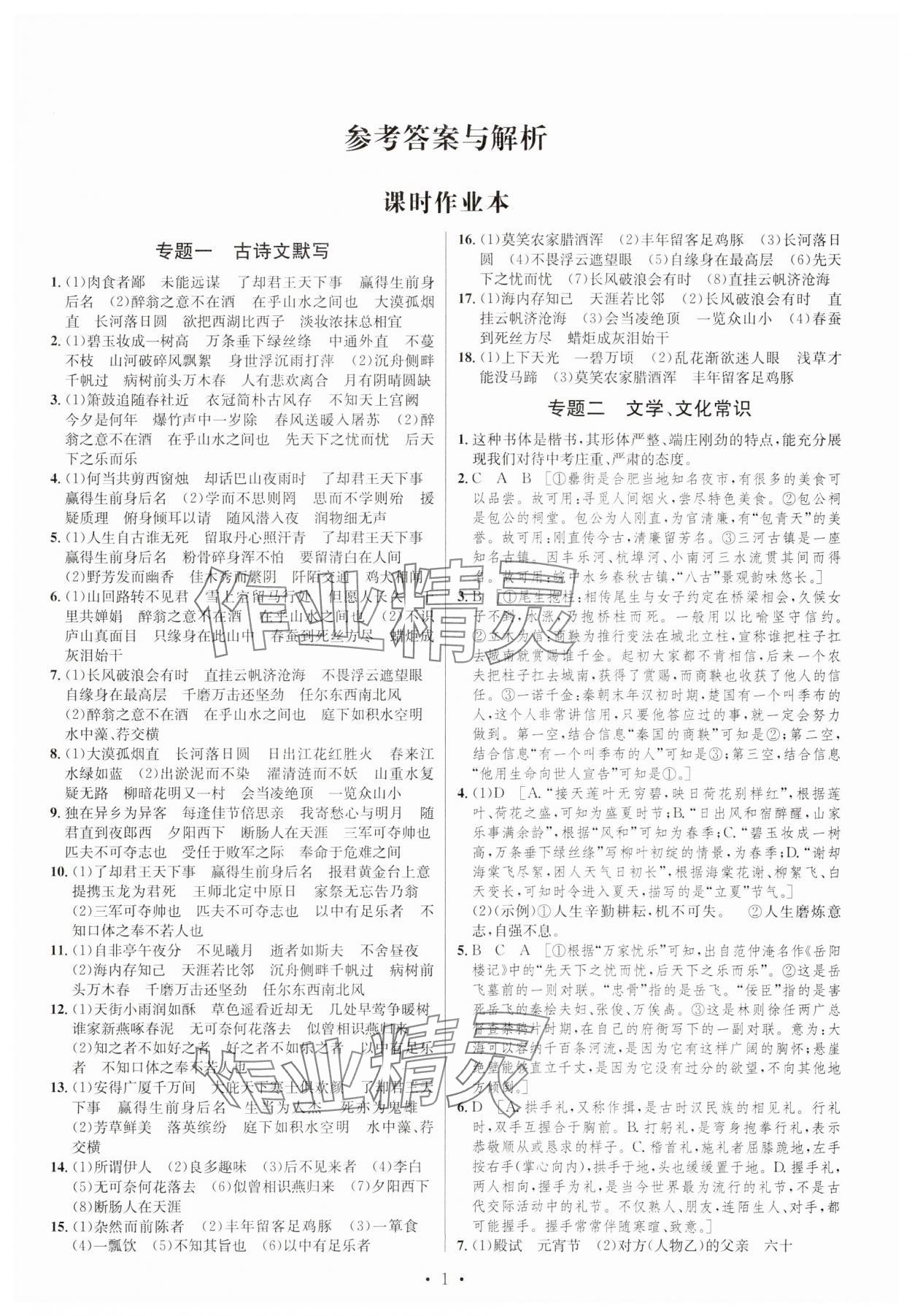 2025年初中畢業(yè)班系統(tǒng)總復(fù)習(xí)語文 第1頁