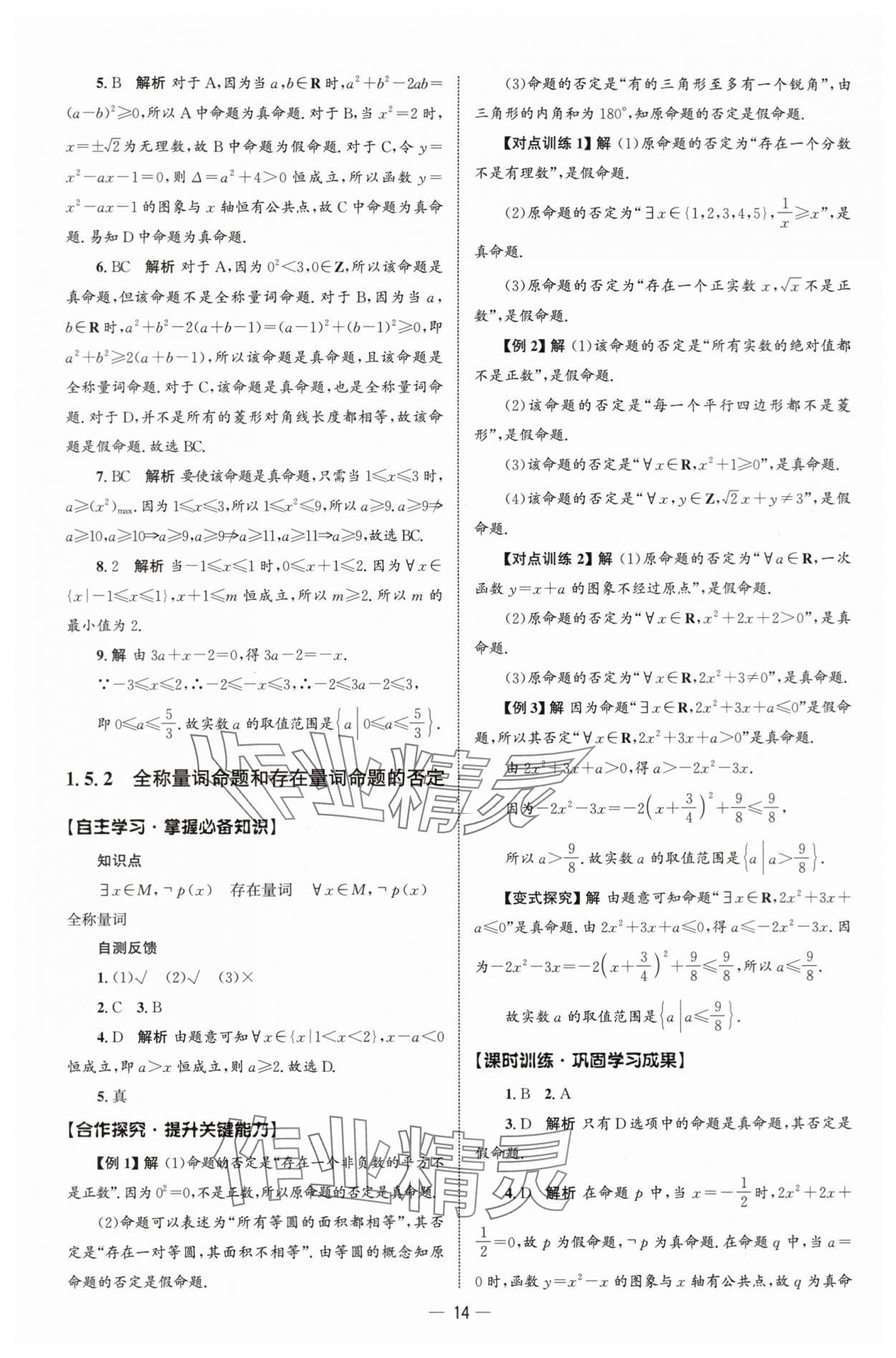 2025年同步練習(xí)冊(cè)人民教育出版社高中數(shù)學(xué)必修第一冊(cè)人教版B山東專版 參考答案第13頁(yè)