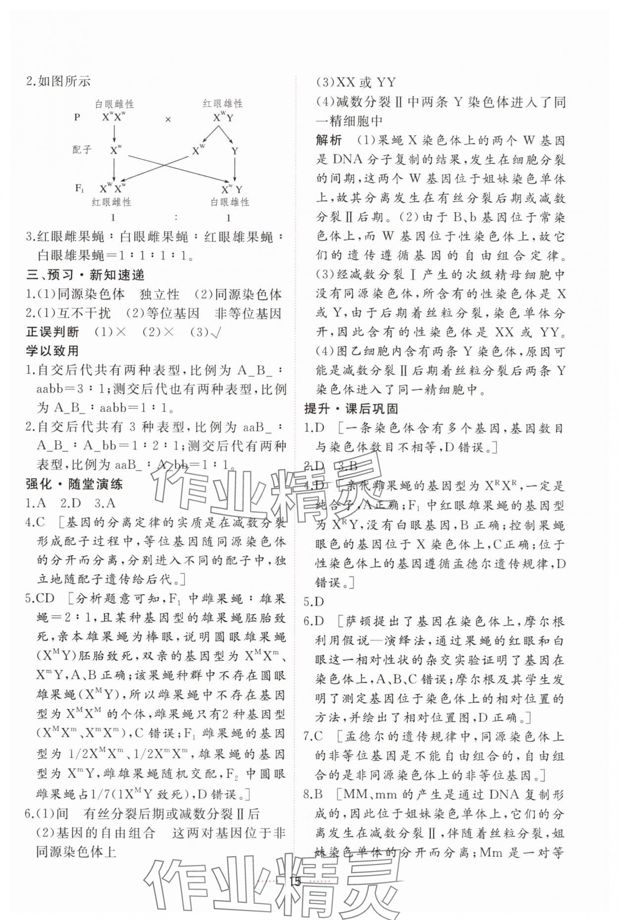 2025年三維隨堂精練高中生物必修2人教版 第15頁