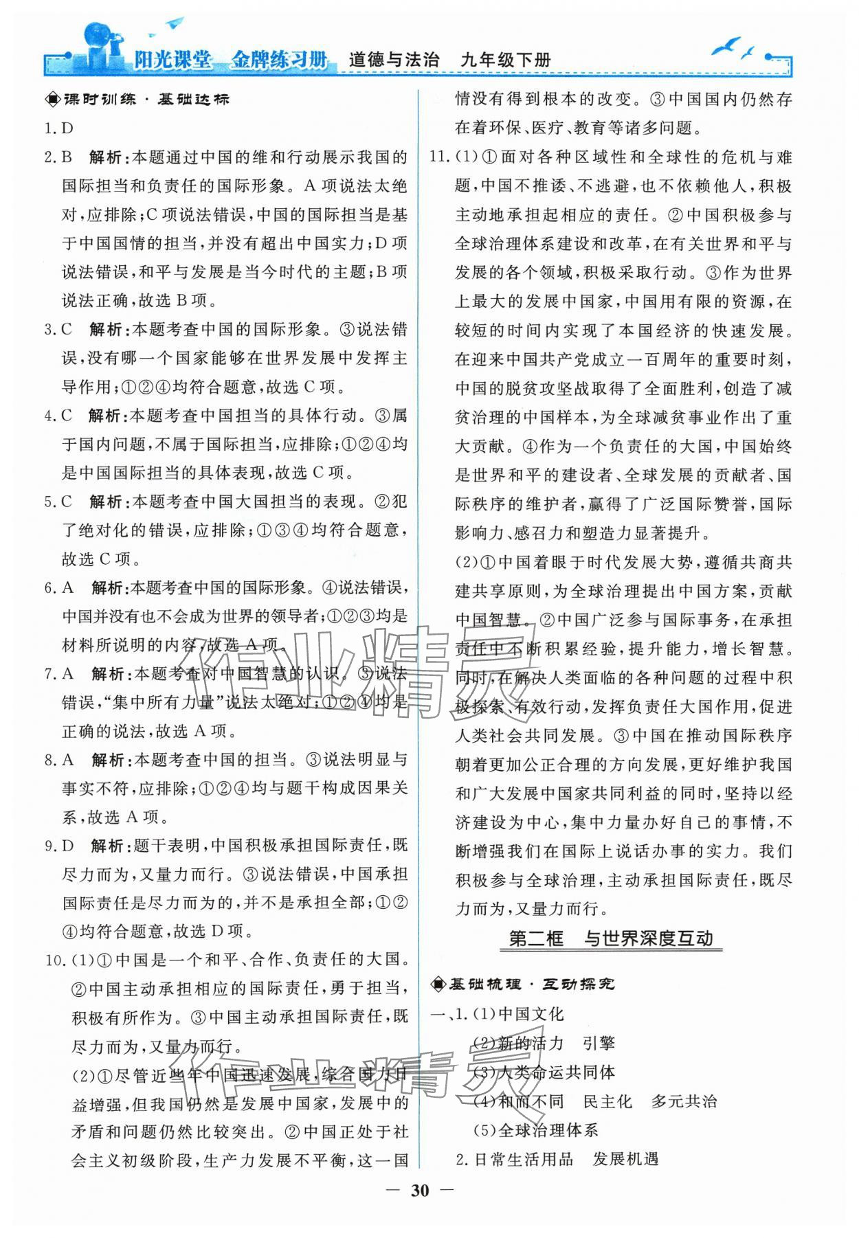 2024年陽光課堂金牌練習(xí)冊九年級道德與法治下冊人教版 第6頁