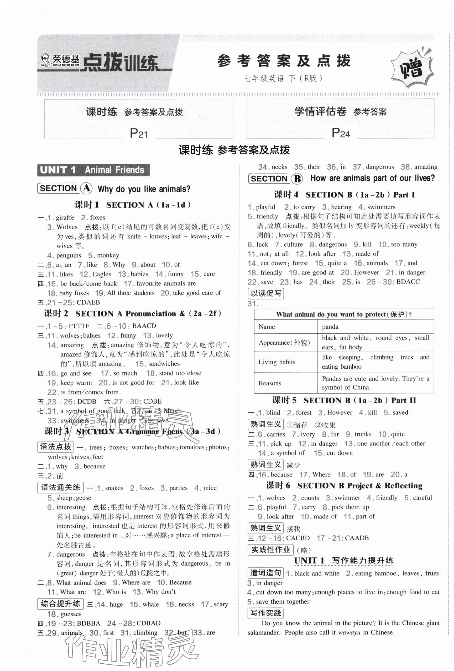2025年点拨训练七年级英语下册人教版宁夏专版 第1页