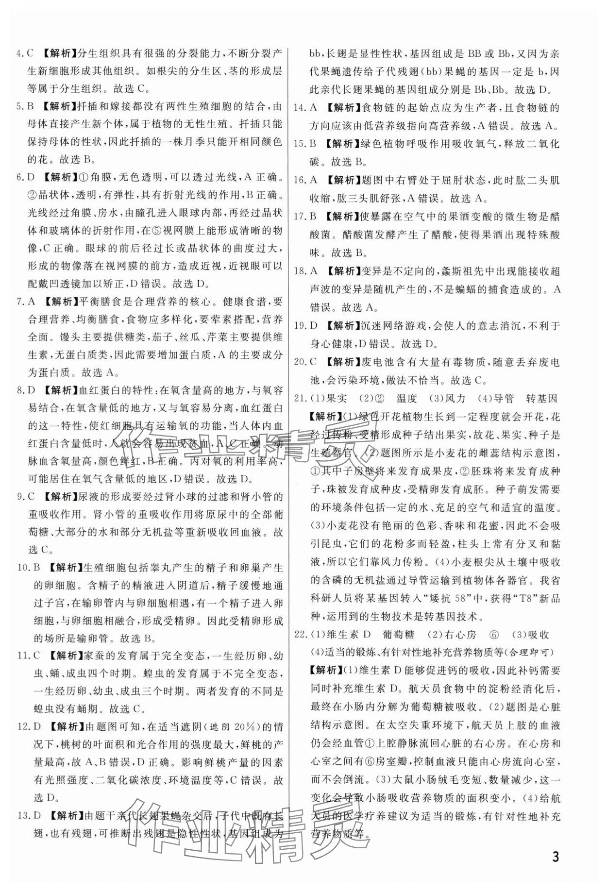 2024年新一線必刷卷生物河南專版 第3頁