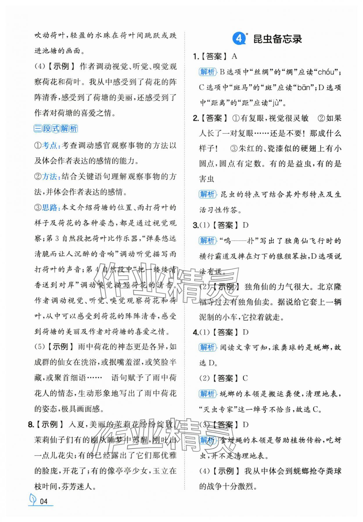 2025年一本同步訓(xùn)練三年級語文下冊人教版福建專版 第4頁