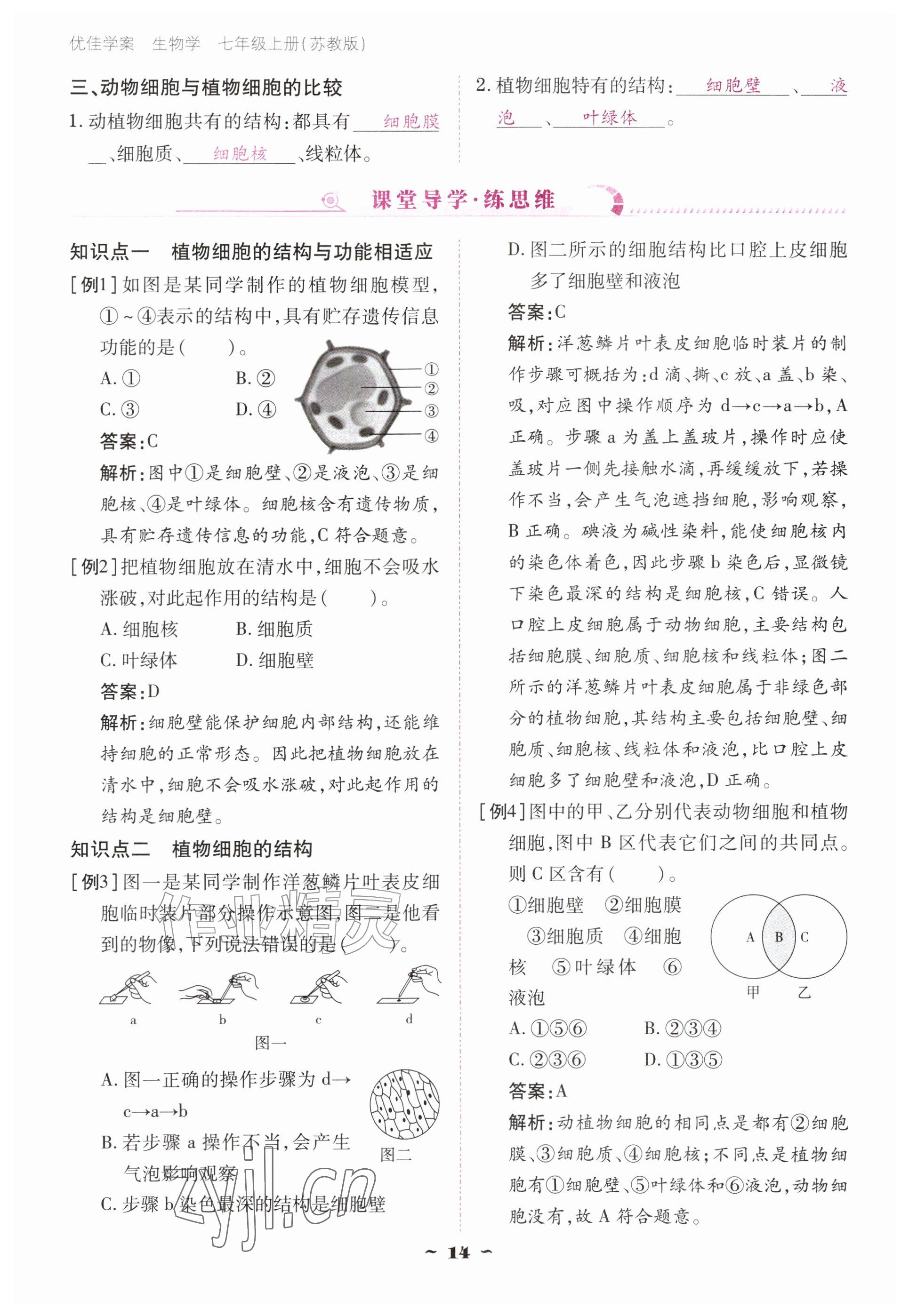 2026年云南省标准教辅优佳学案七年级历史上册人教版&nbsp;参考答案第14页