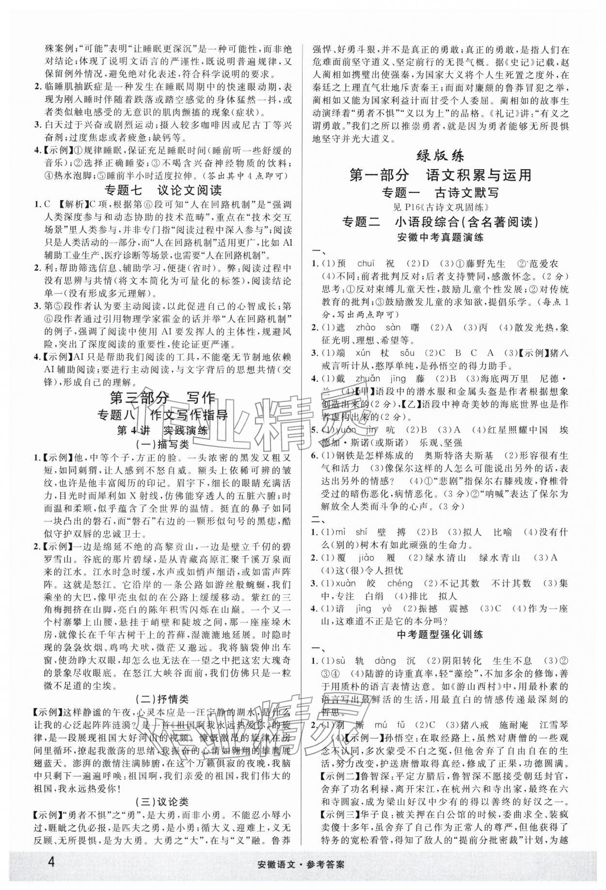 2026年名校课堂中考总复习语文安徽专版 第4页