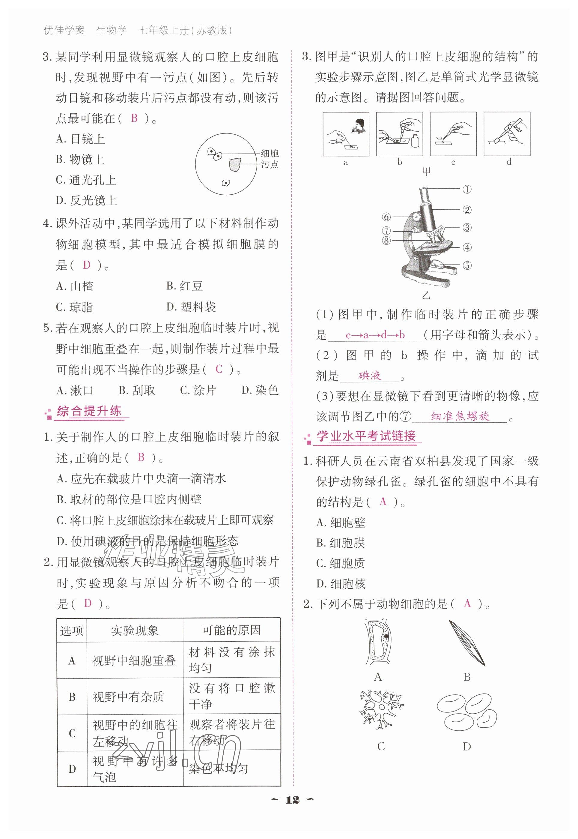2026年云南省标准教辅优佳学案七年级历史上册人教版&nbsp;参考答案第12页