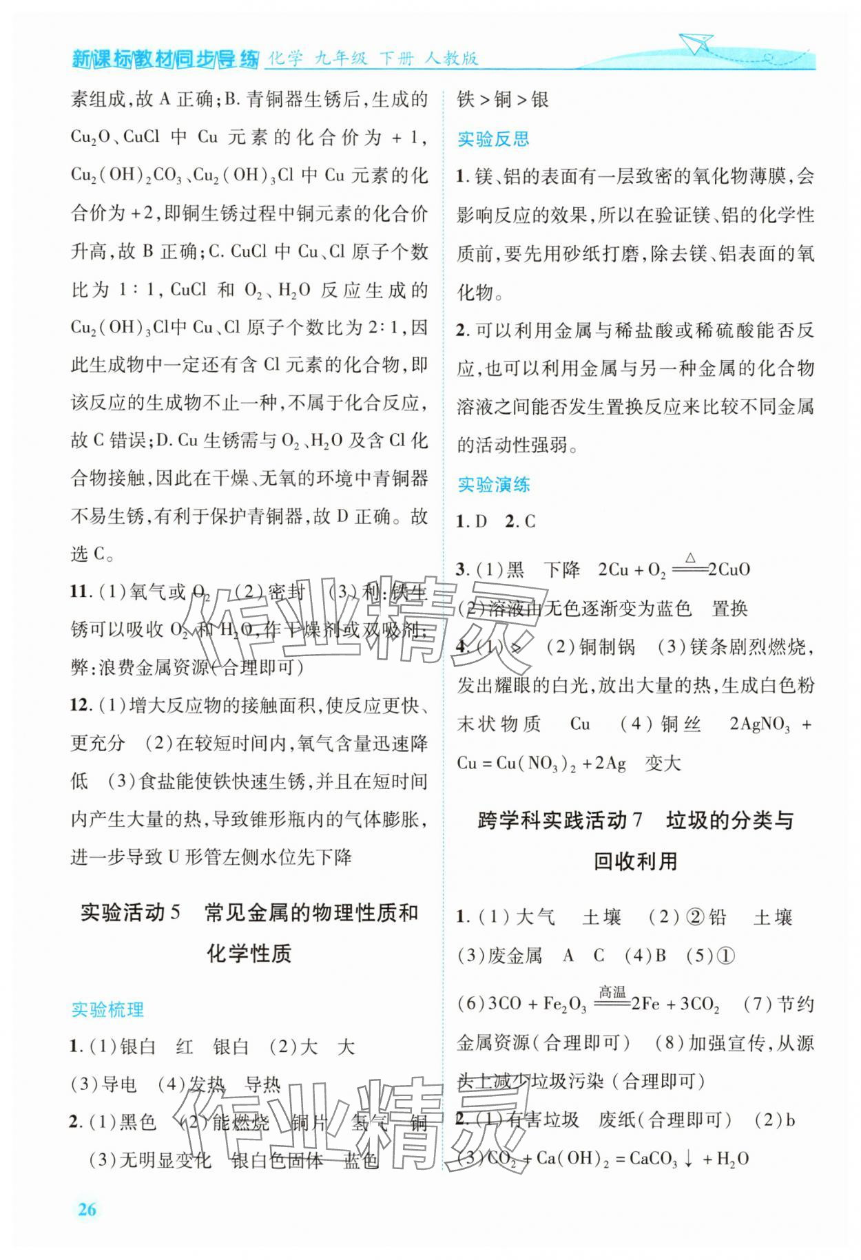 2025年新课标教材同步导练九年级化学下册人教版 第6页