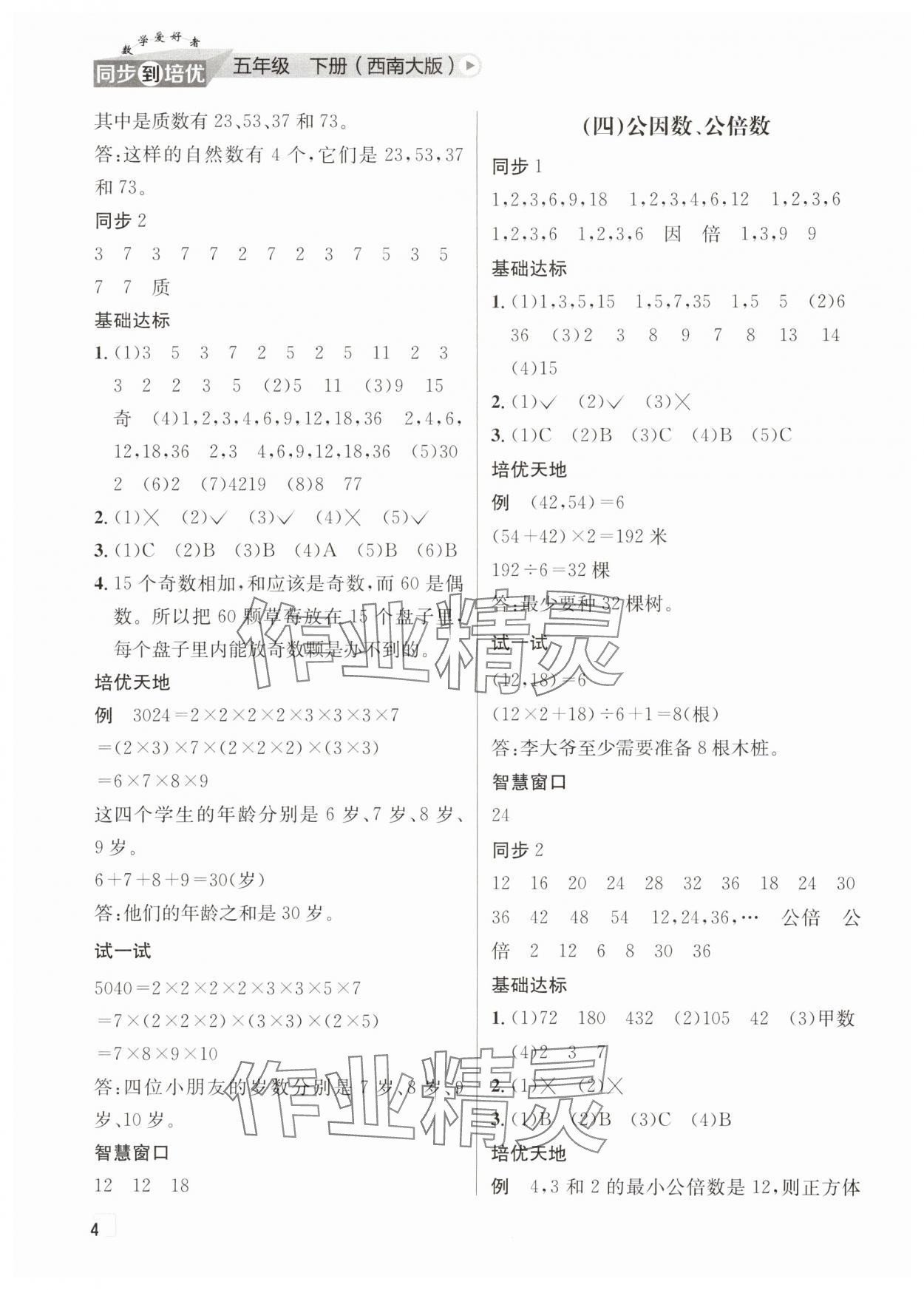 2025年數學愛好者同步到培優五年級下冊西師大版 第4頁