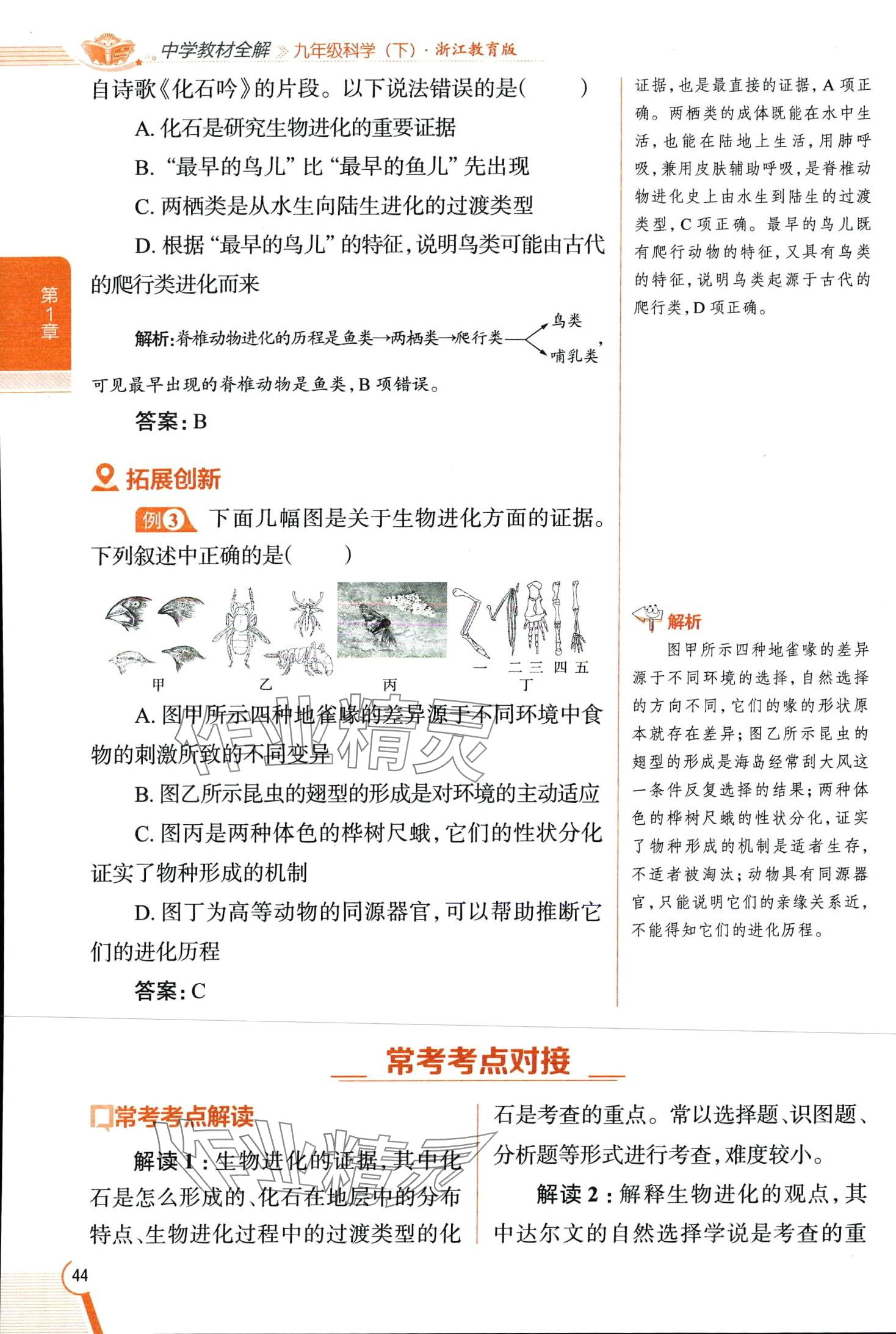 2024年教材全解九年級科學下冊浙教版 第44頁