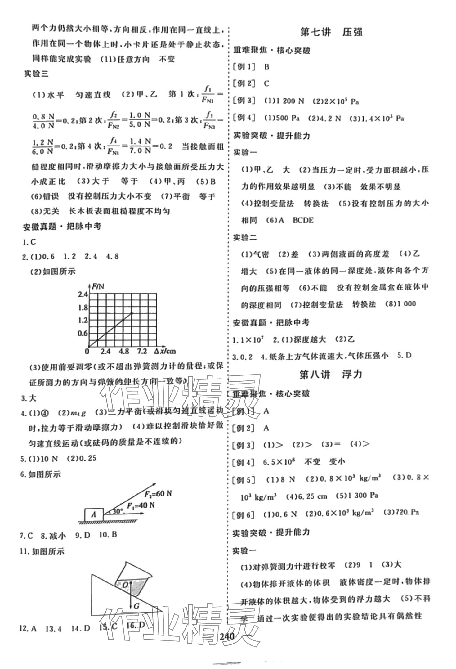 2024年畢業(yè)班綜合訓(xùn)練物理中考安徽專版 第4頁