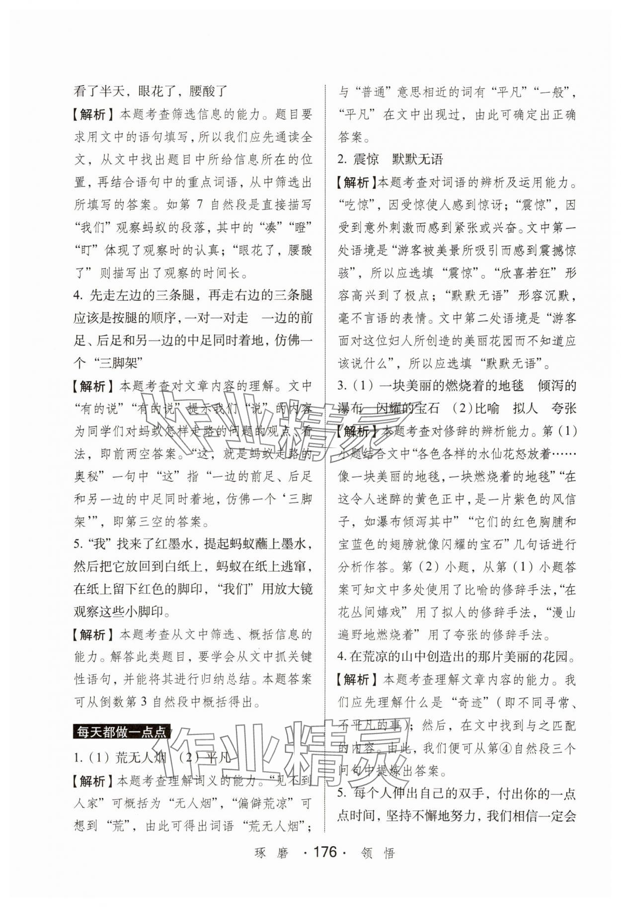 2025年小学语文考试阅读真题精选专练详解三年级人教版 第2页