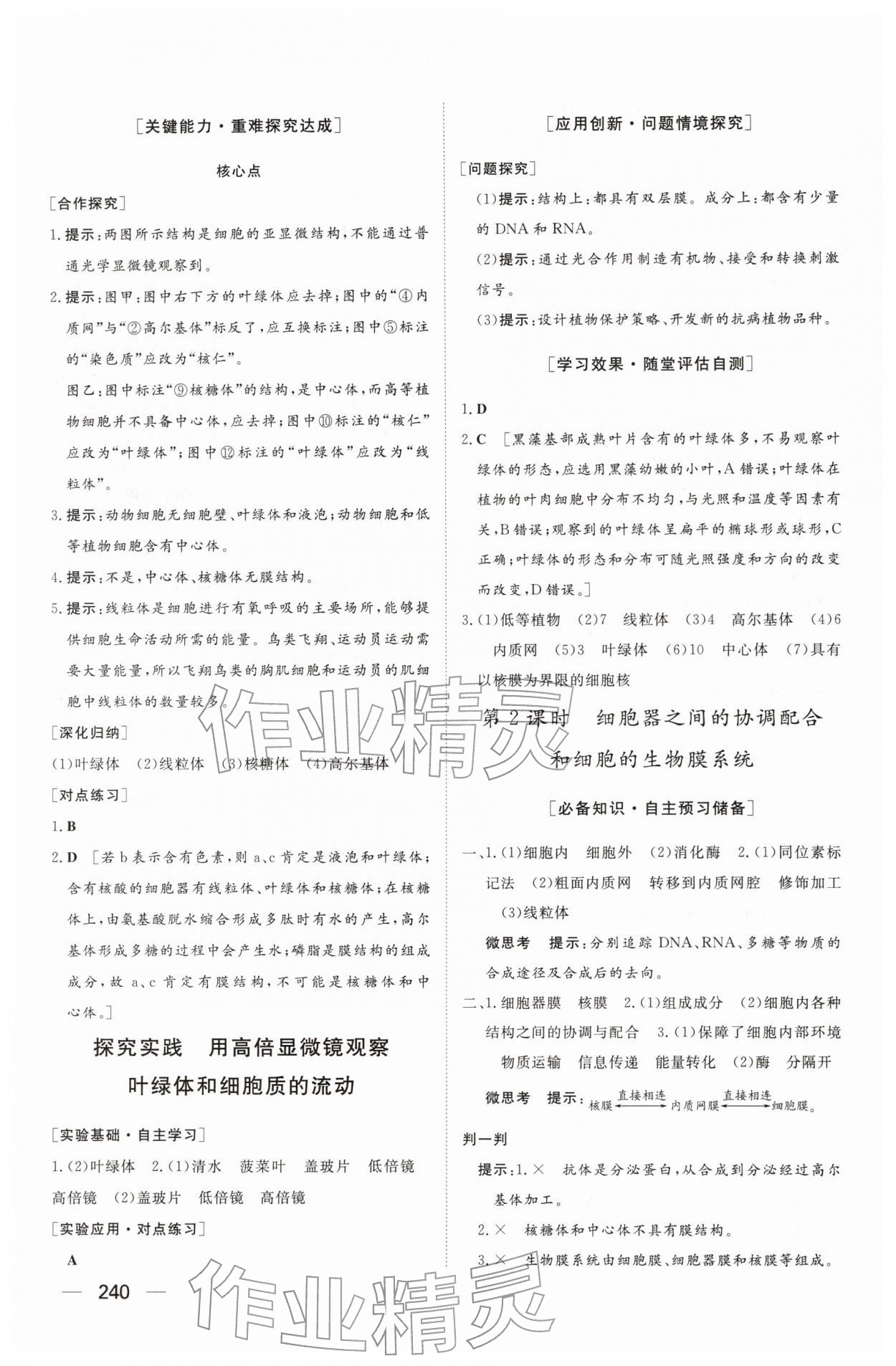 2025年同步练习册大象出版社高中生物必修第一册人教版A&nbsp;参考答案第10页